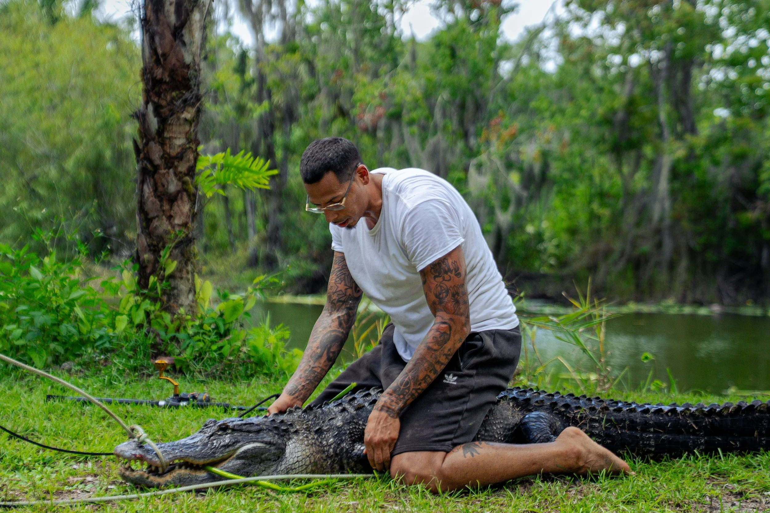 Gator 6-11-25-63.jpg