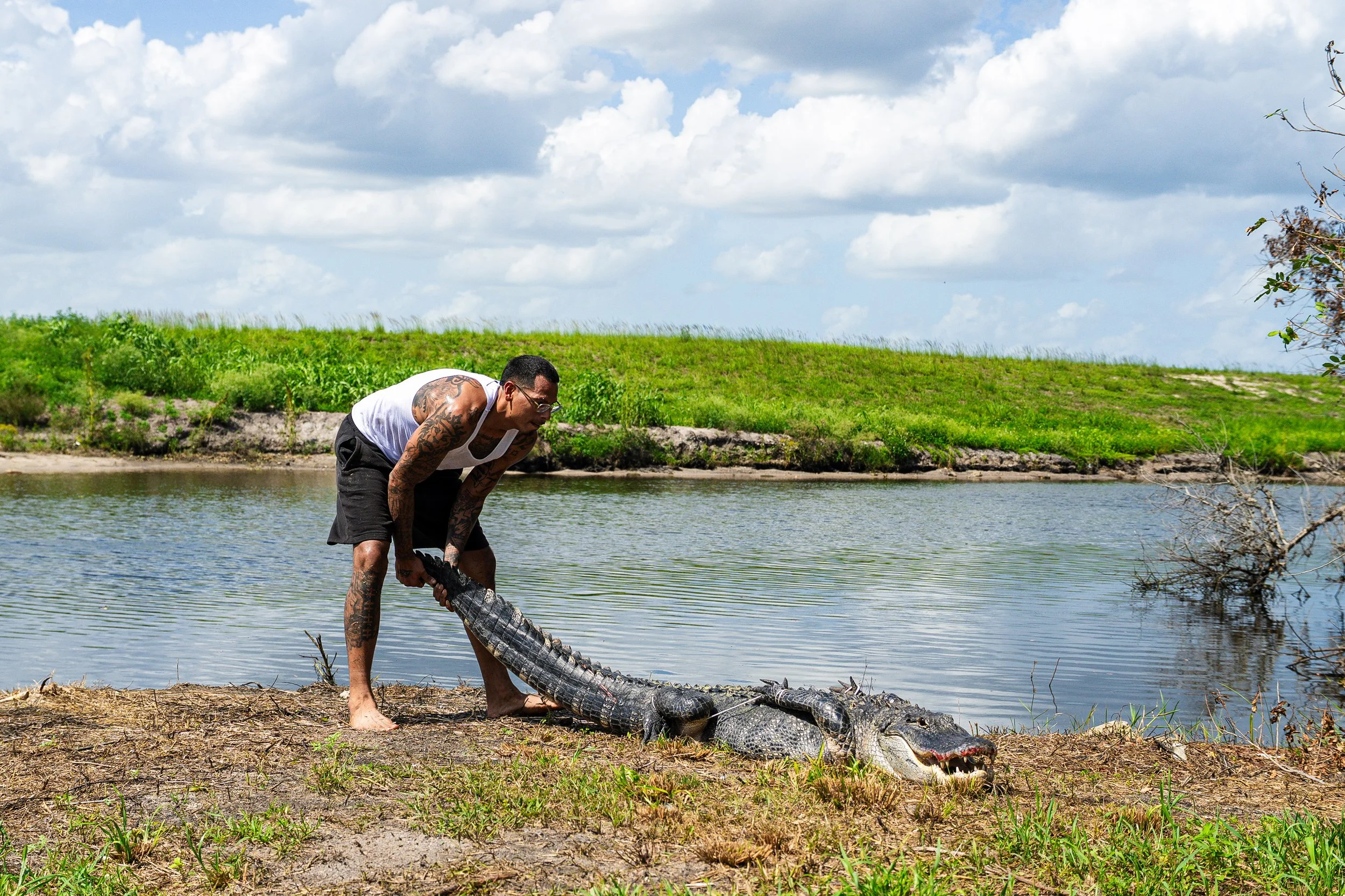 Gator 6-11-25-14.jpg