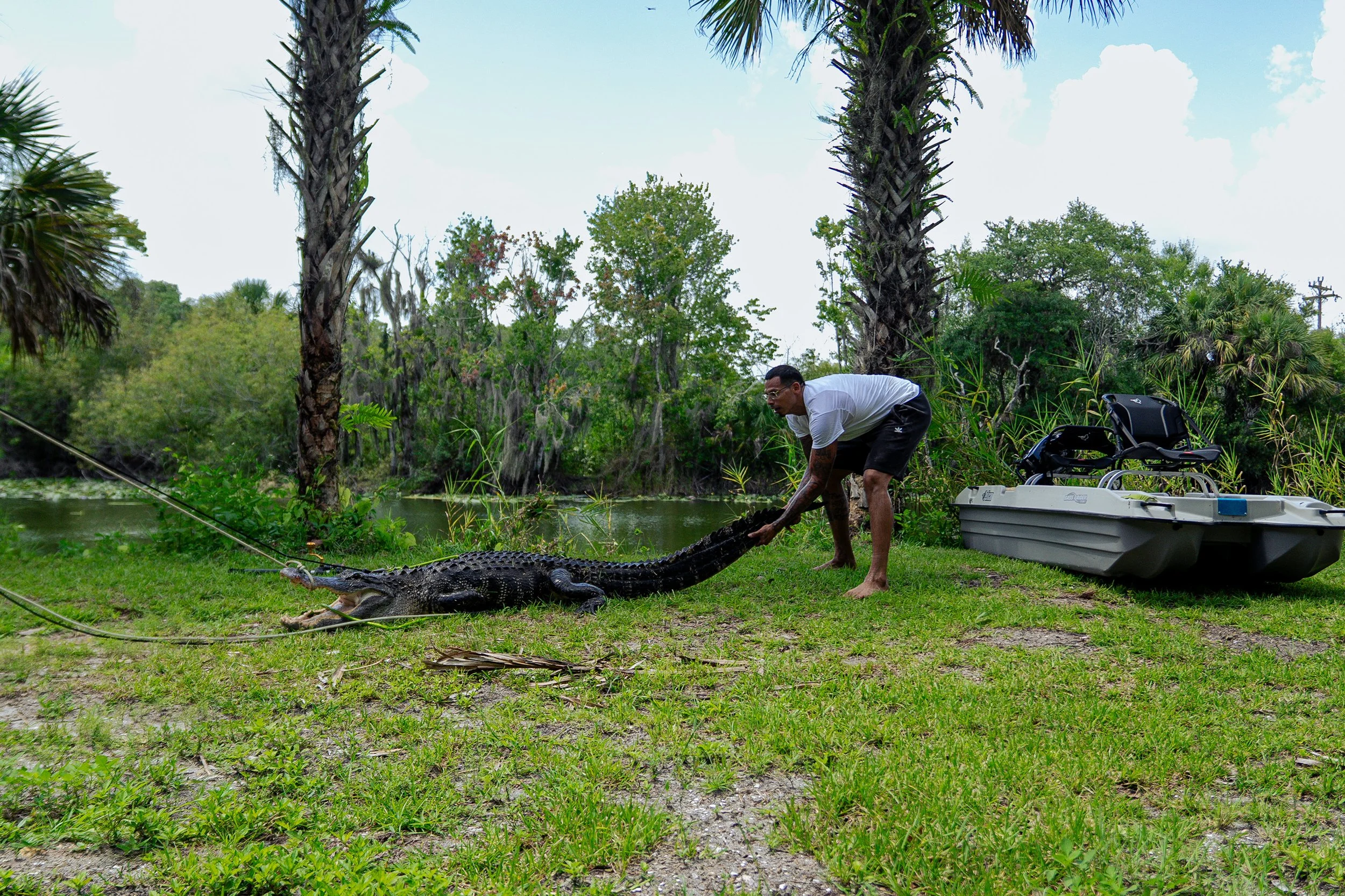 Gator 6-11-25-66.jpg