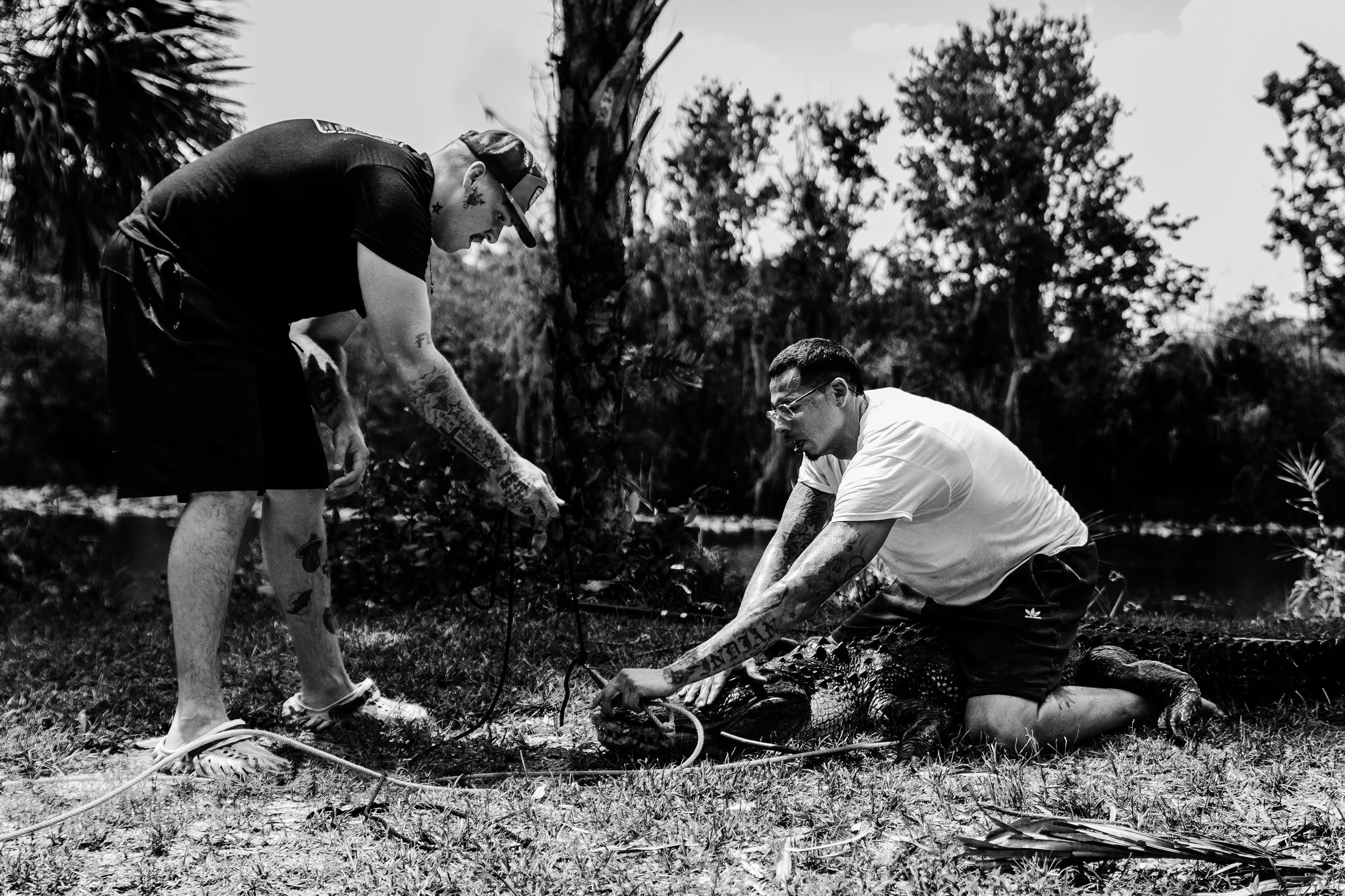 Gator 6-11-25-60.jpg