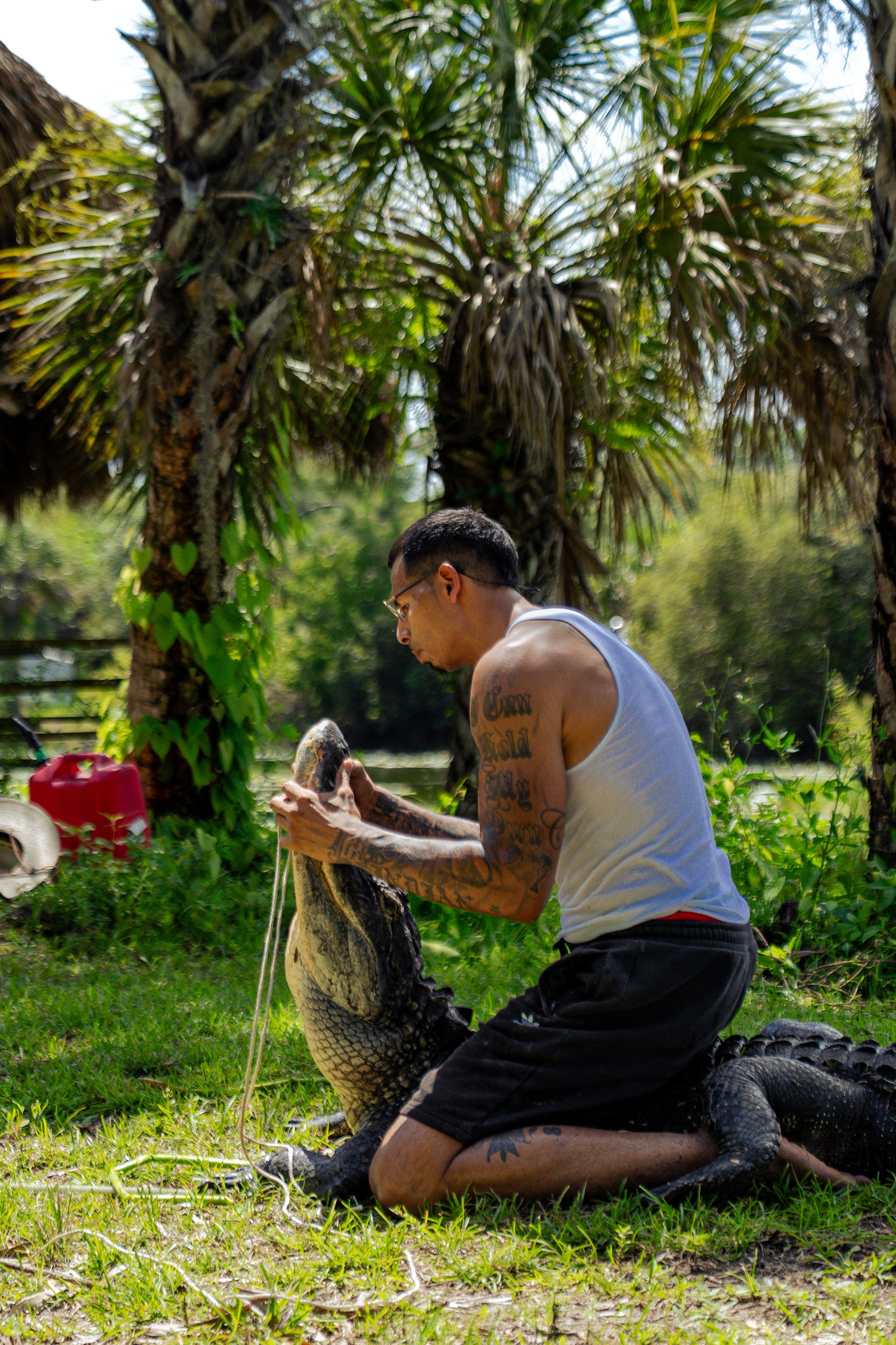 Gator 6-11-25-28.jpg