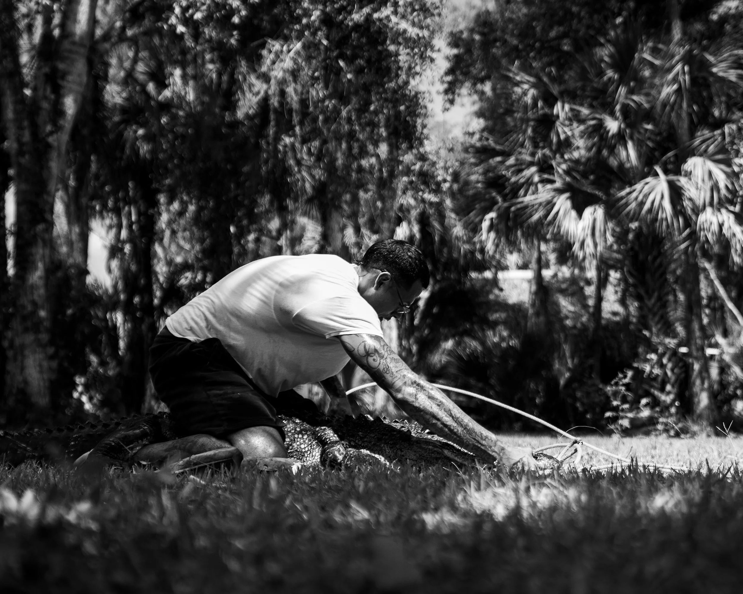 Gator 6-11-25-46.jpg