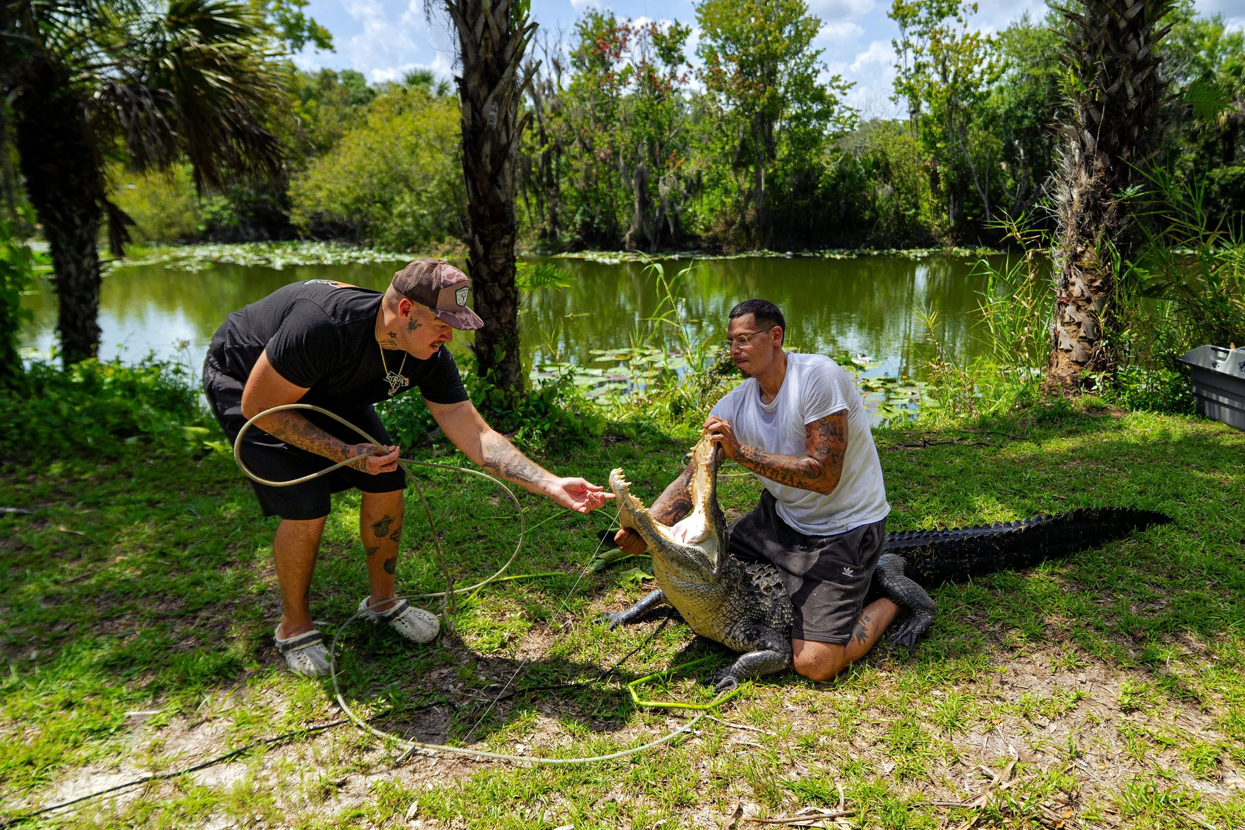 Gator 6-11-25-42.jpg