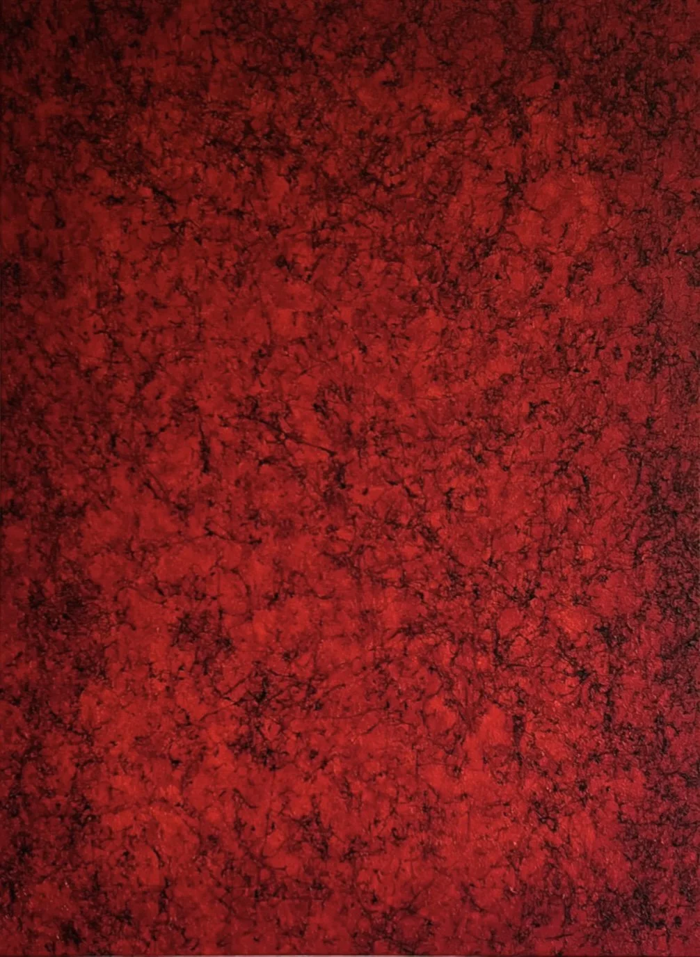 Loves Echo, 2026
30x40 Acrylic on Stretched Canvas