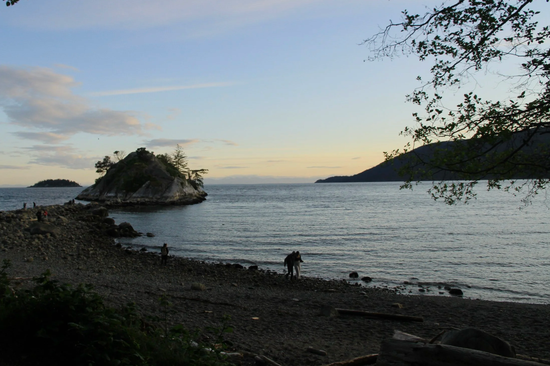 IMG_1596.png