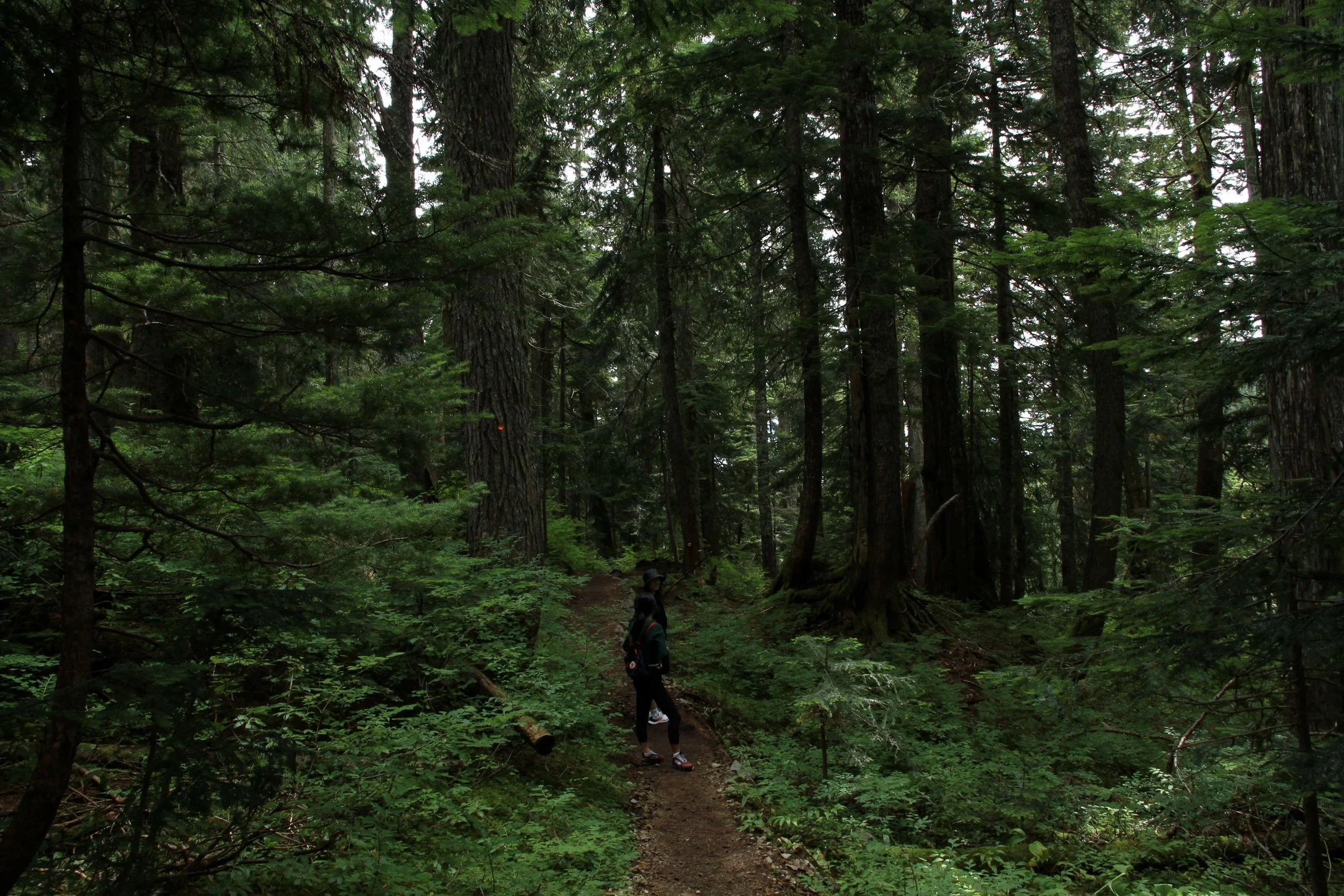 Cypress Mountain, Vancouver BC