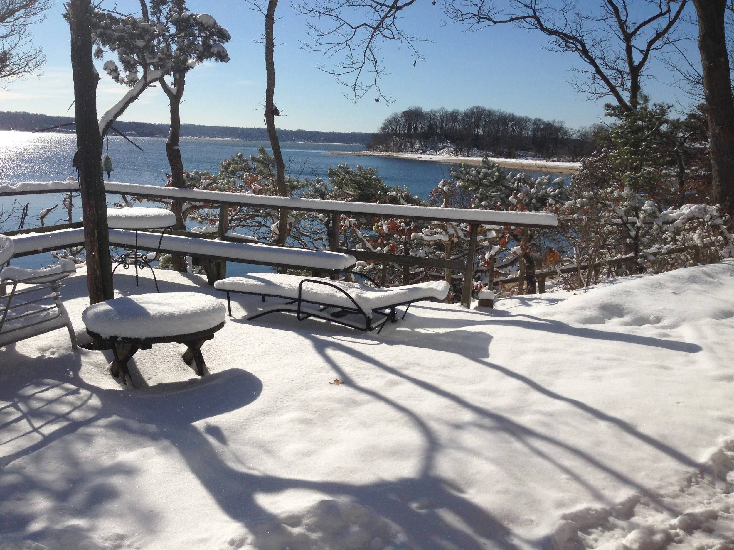 VDGS/GNY Cozy consorts