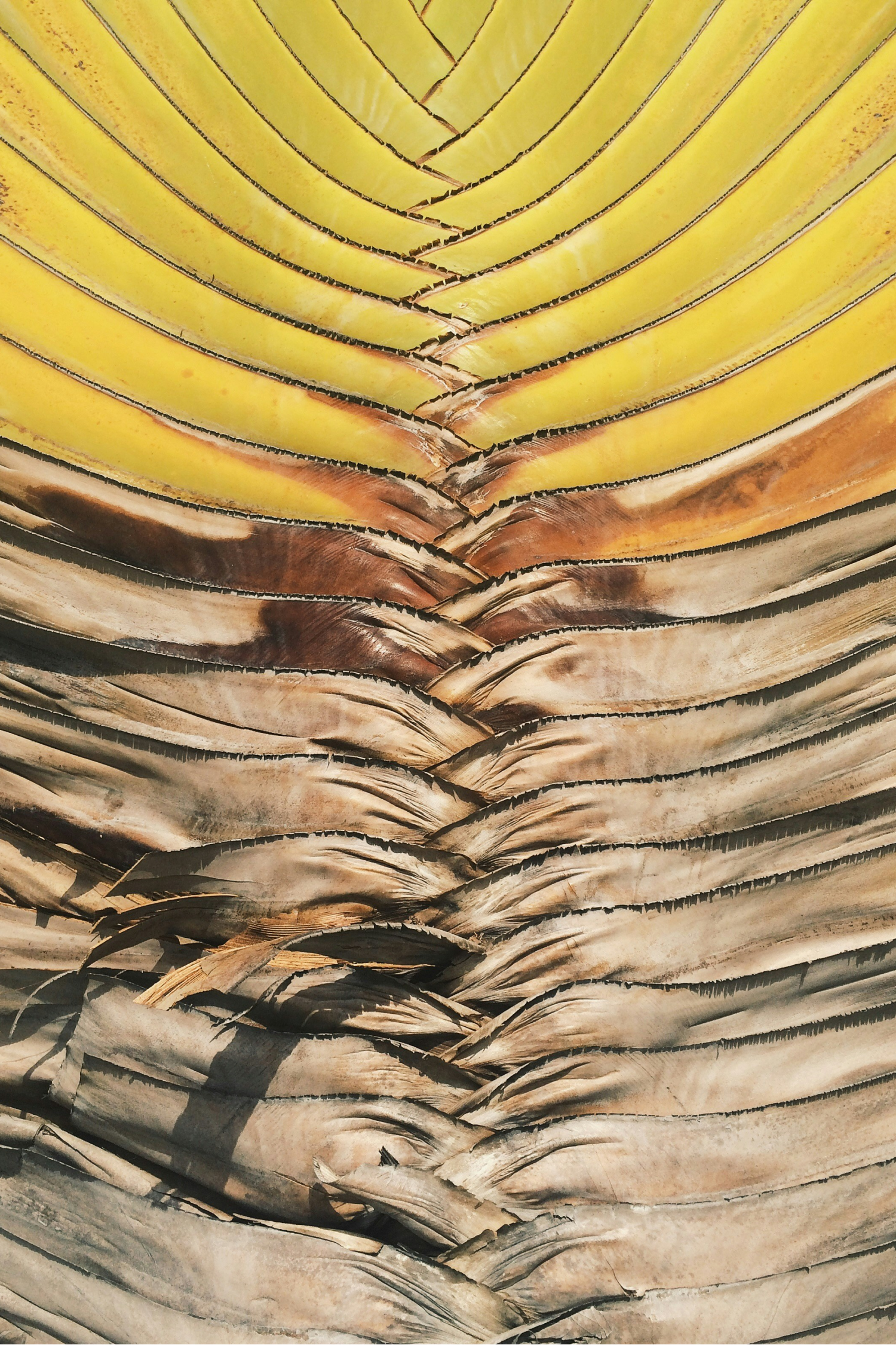 Lessons Woven Through The Living World