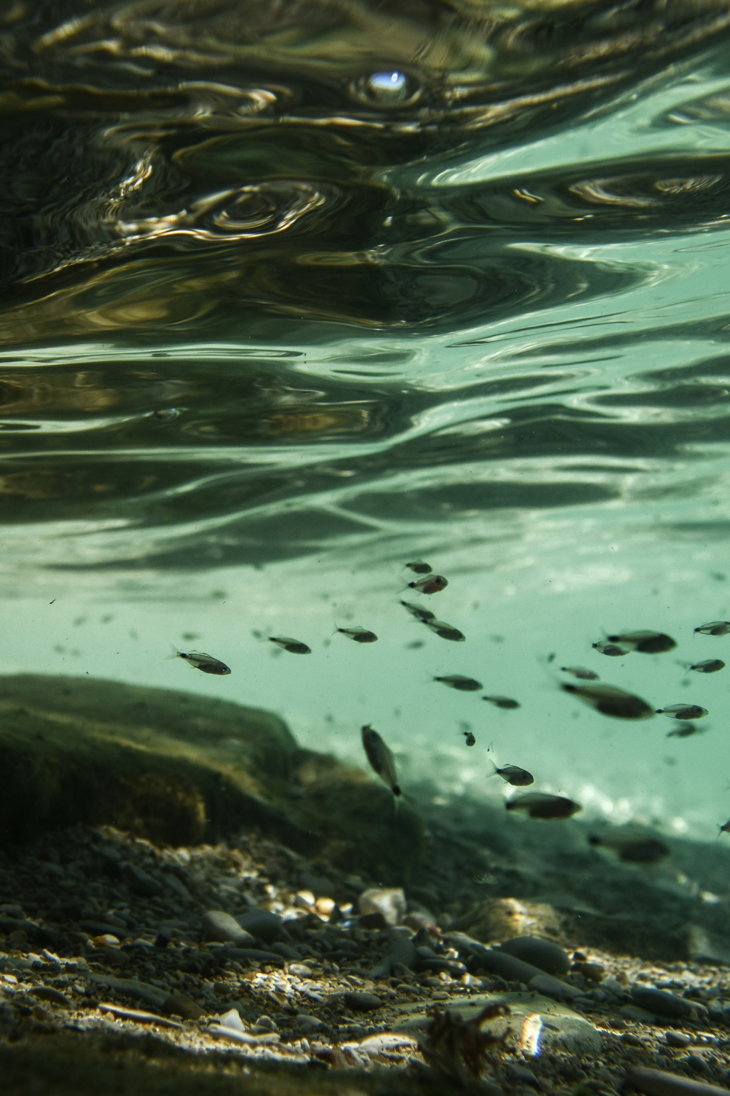 Rivers, Threads, And Living Memory: Learning From The Getar