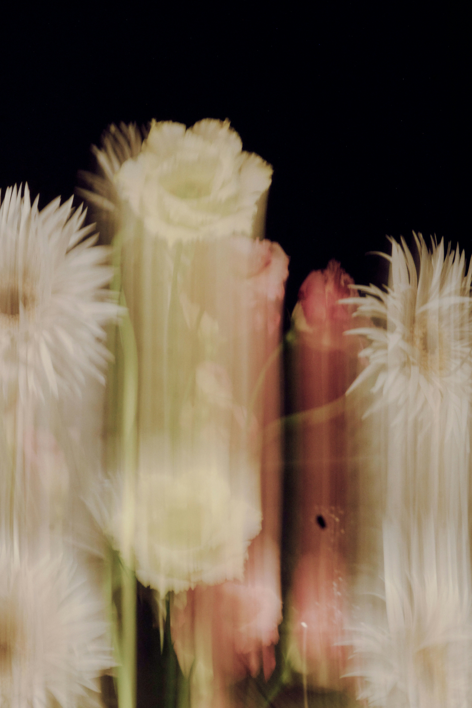 Invisible Networks & Creative Ecology For The Flow Of Life