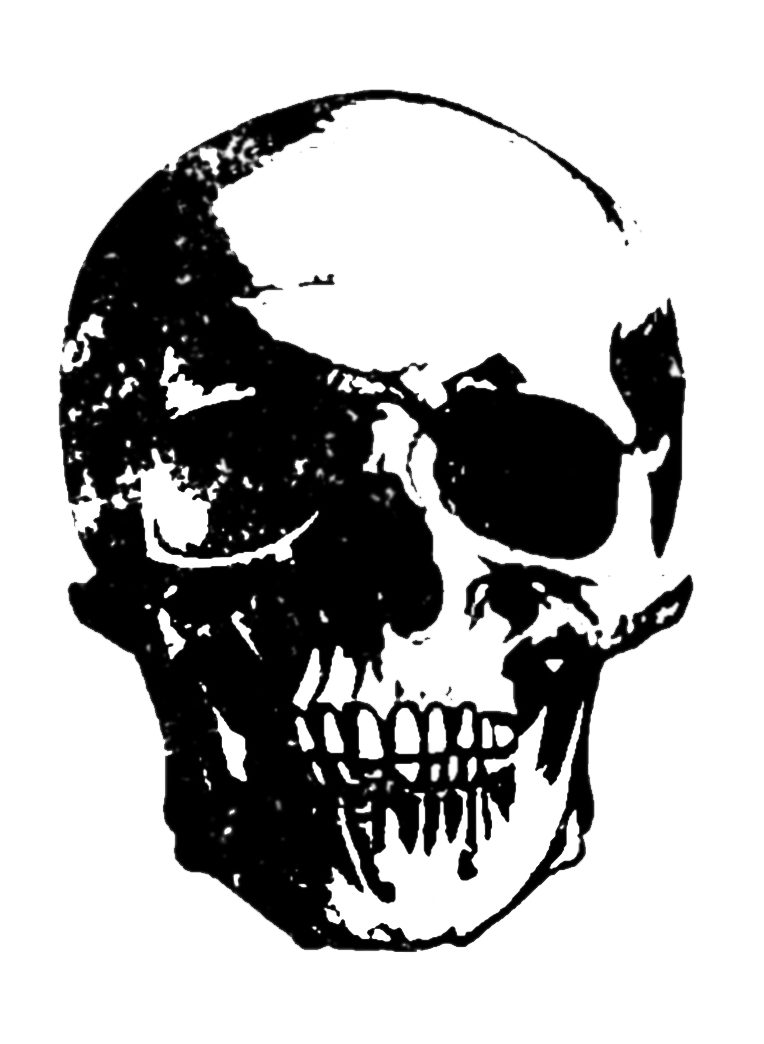 A stylized, black and white outline of a human skull.  Unique Flash Tattoo - vintage antique contrast blackwork fine line architectural  Art Nouveau Baroque  bold illustrative style collage rococo contemporary abstract NYC based