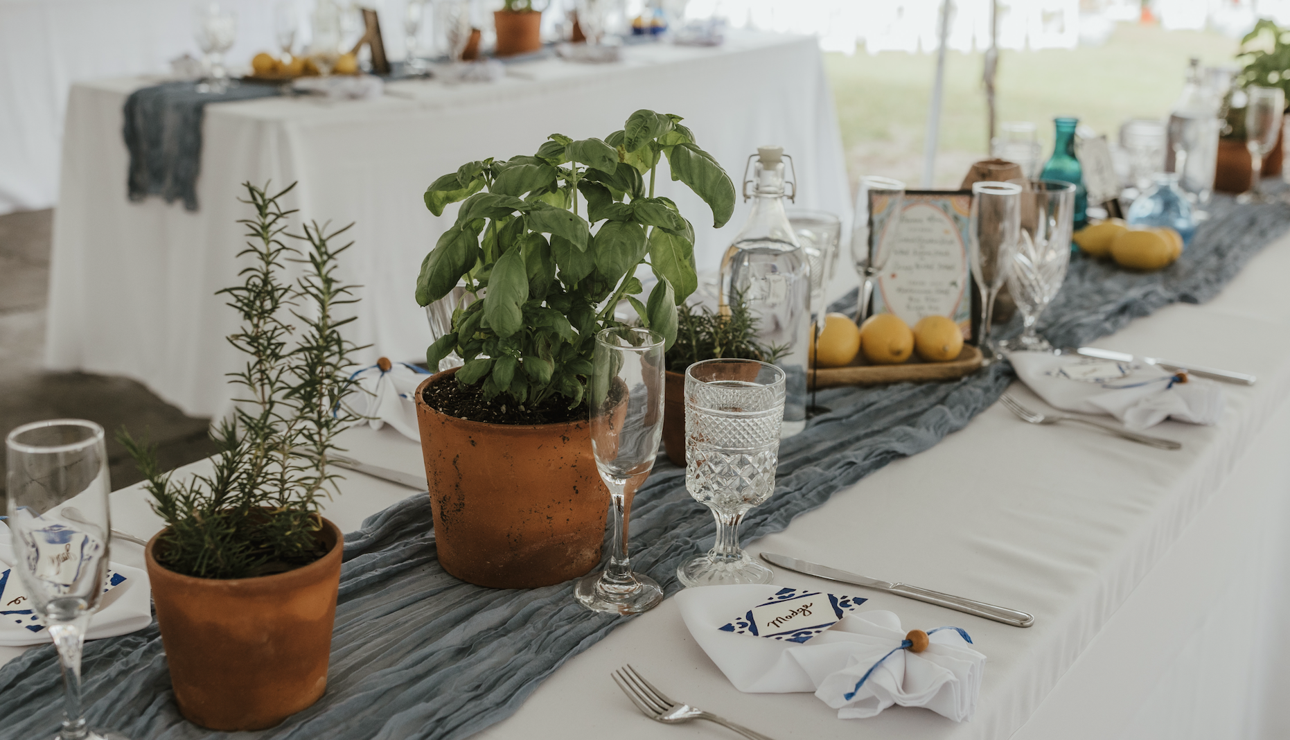 Decorated banquet table with potted herbs, glassware, and a menu card for a celebration or event.