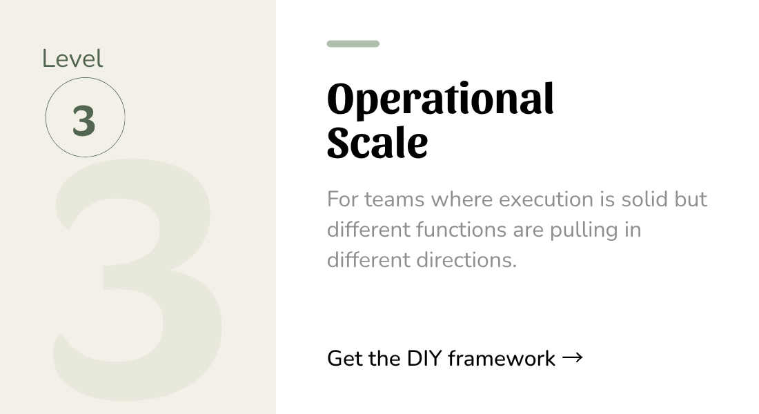 Text about operational scale and team dynamics, level 3, with a call to action for a DIY framework.