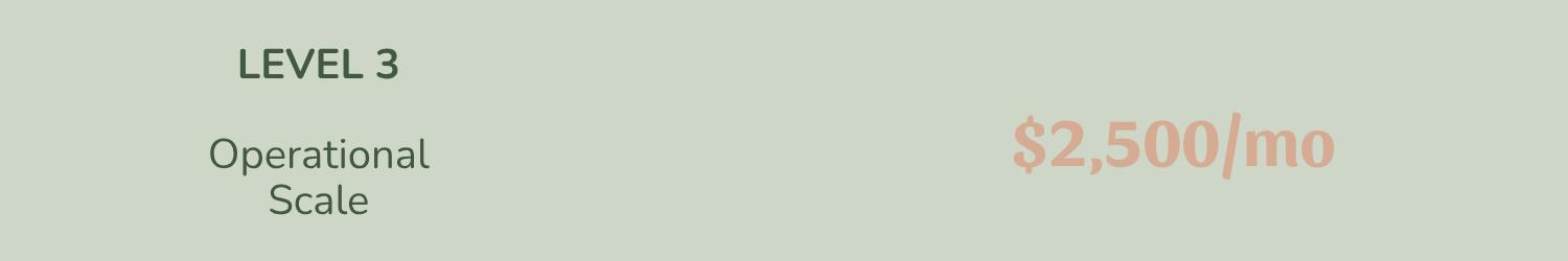 Text indicating Level 3, Operational Scale, and a cost of $2,500 per month on a pale green background.