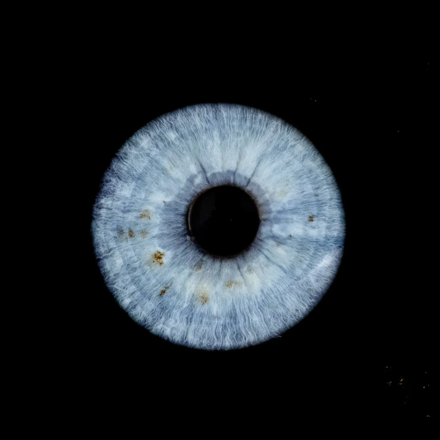 We&rsquo;re almost ready to open! 👁️
Keep your eyes peeled &mdash; booking launches soon and spots will go fast 👀

Fun fact: the patterns in your iris are formed before you&rsquo;re even born and never change throughout your life. A forever piece o