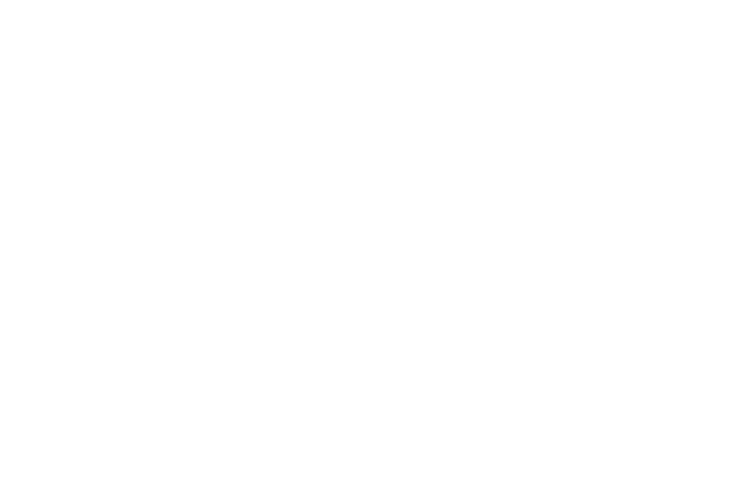 Studio Iris 