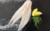 Whiting Fish 10 lb boxes