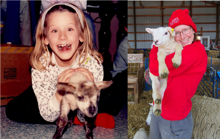 Texel Cross Lamb and Texel Lamb