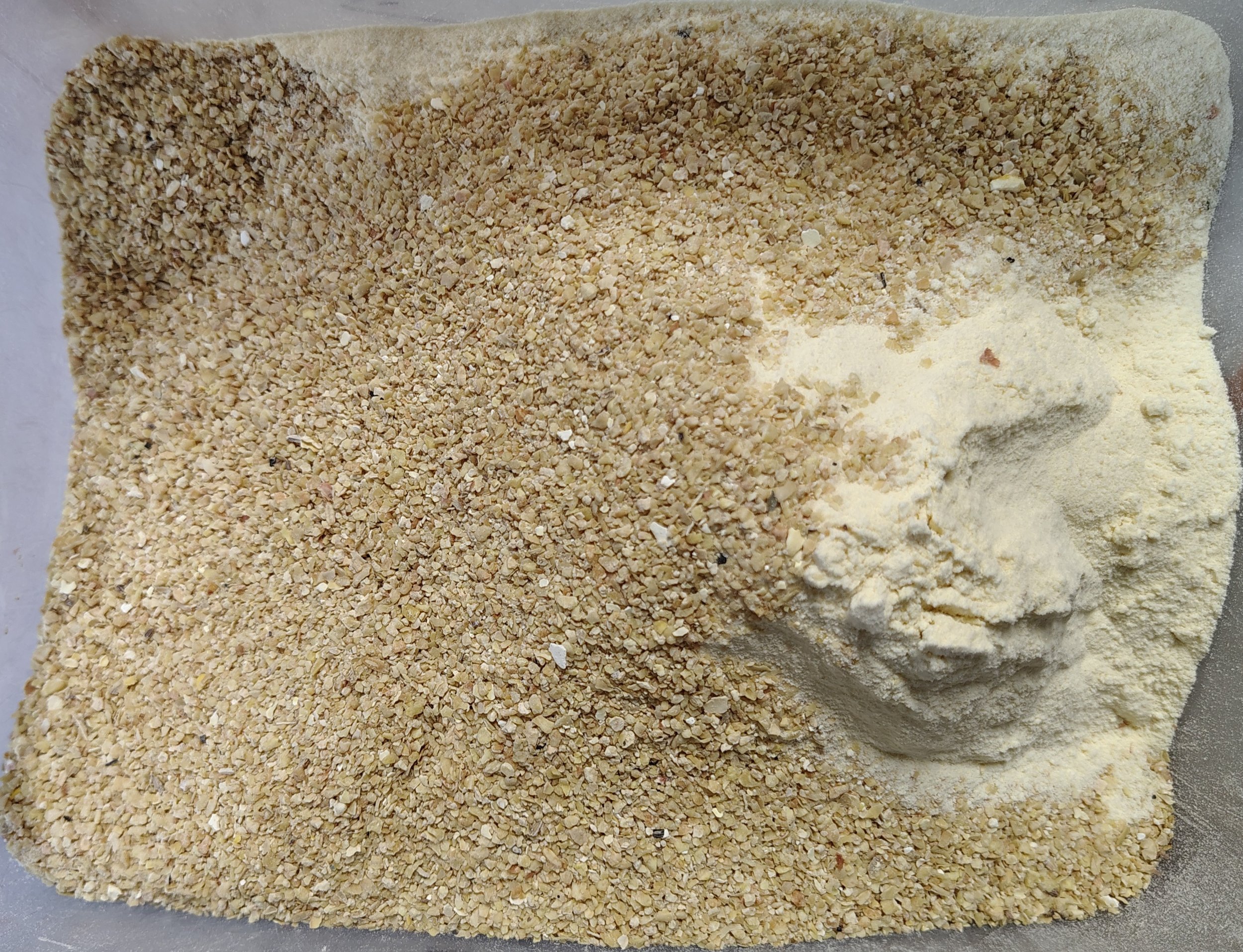 lamb milk replacer trick