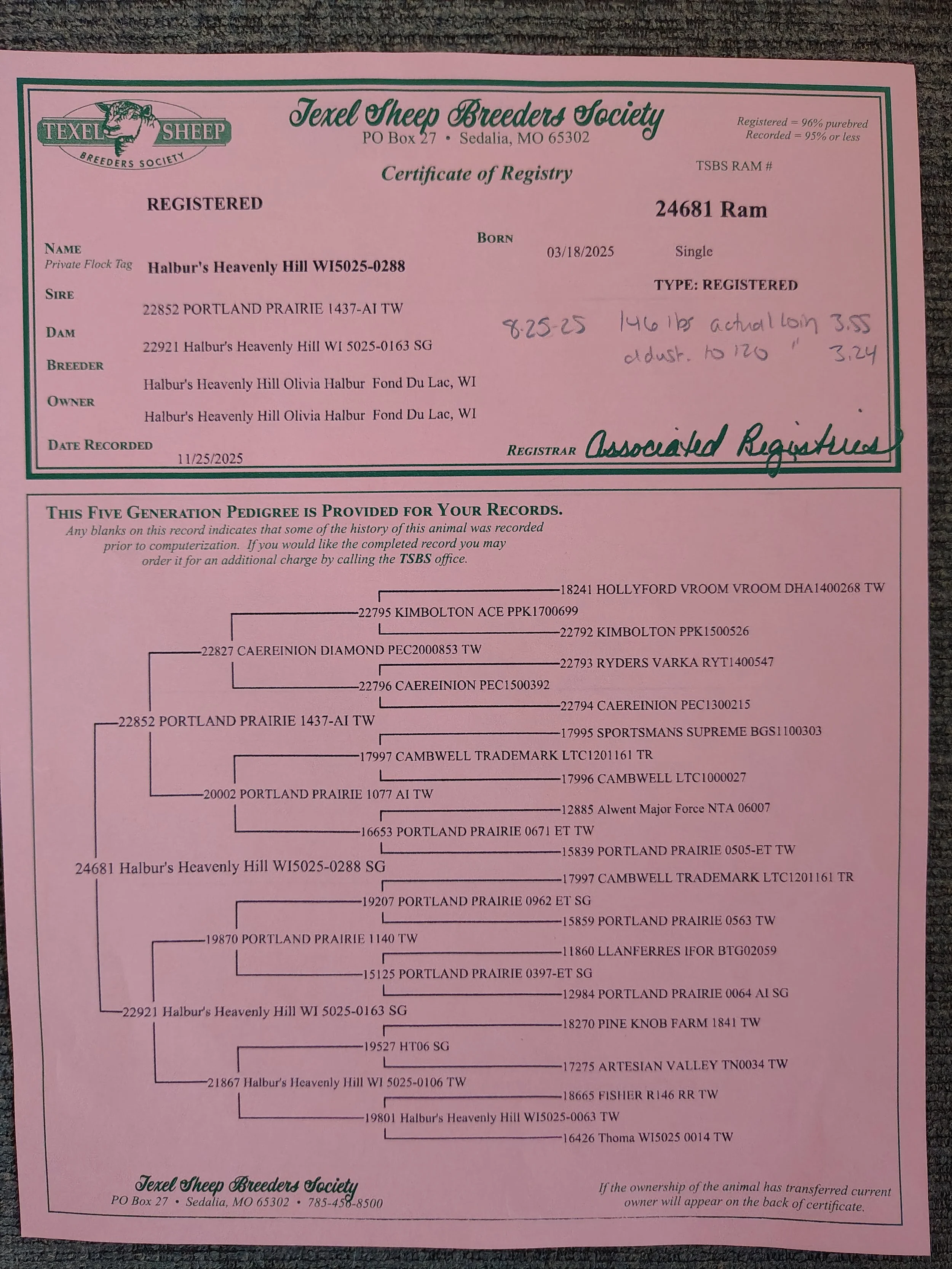 Texel Registration Certificate