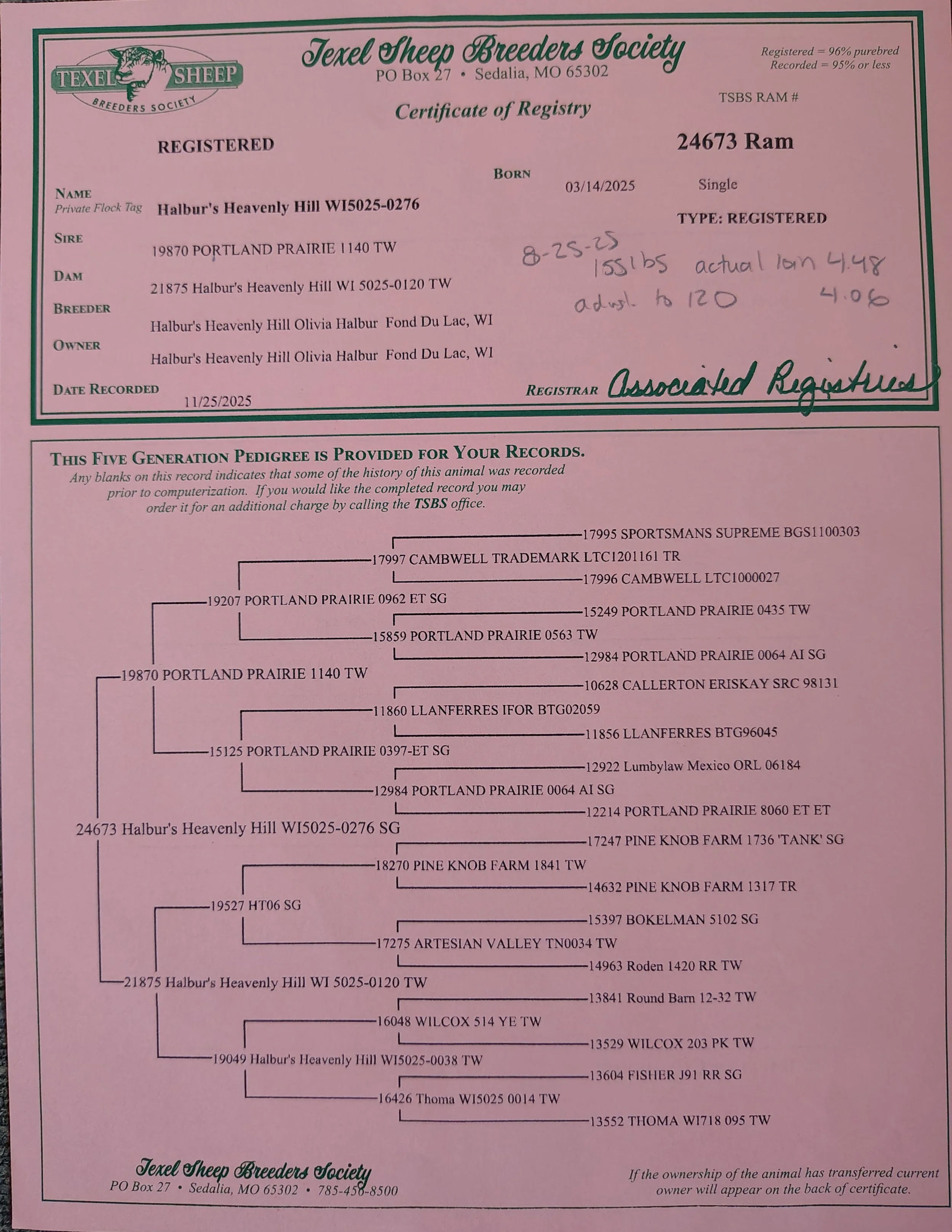 Texel Registration paper 276