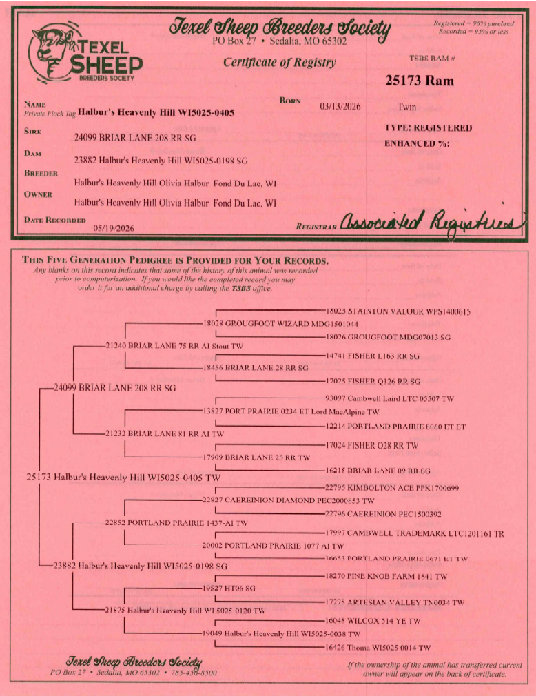 Texel Registration Certificate