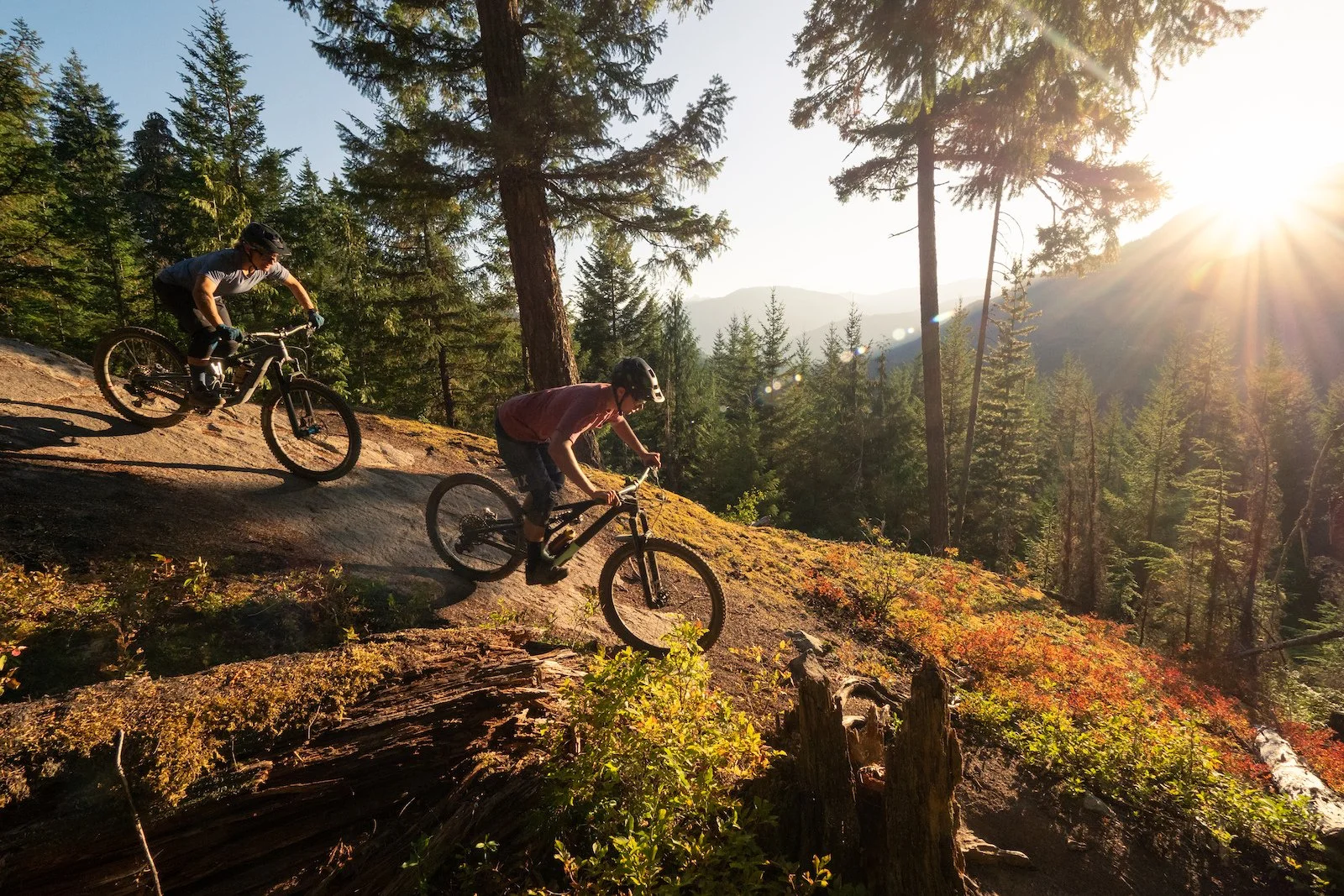 Two people riding mountain bikes down a dirt trail in a forest with tall trees, during sunset with the sun shining through the trees.