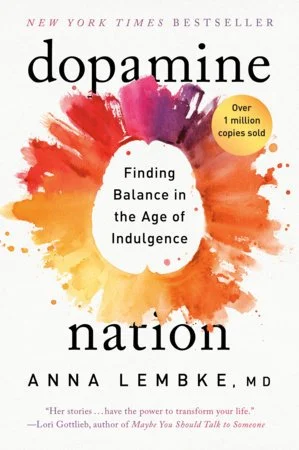 Book cover titled 'Dopamine Nation' by Anna Lembke MD, with a colorful watercolor splash background and a yellow circle indicating over 1 million copies sold.