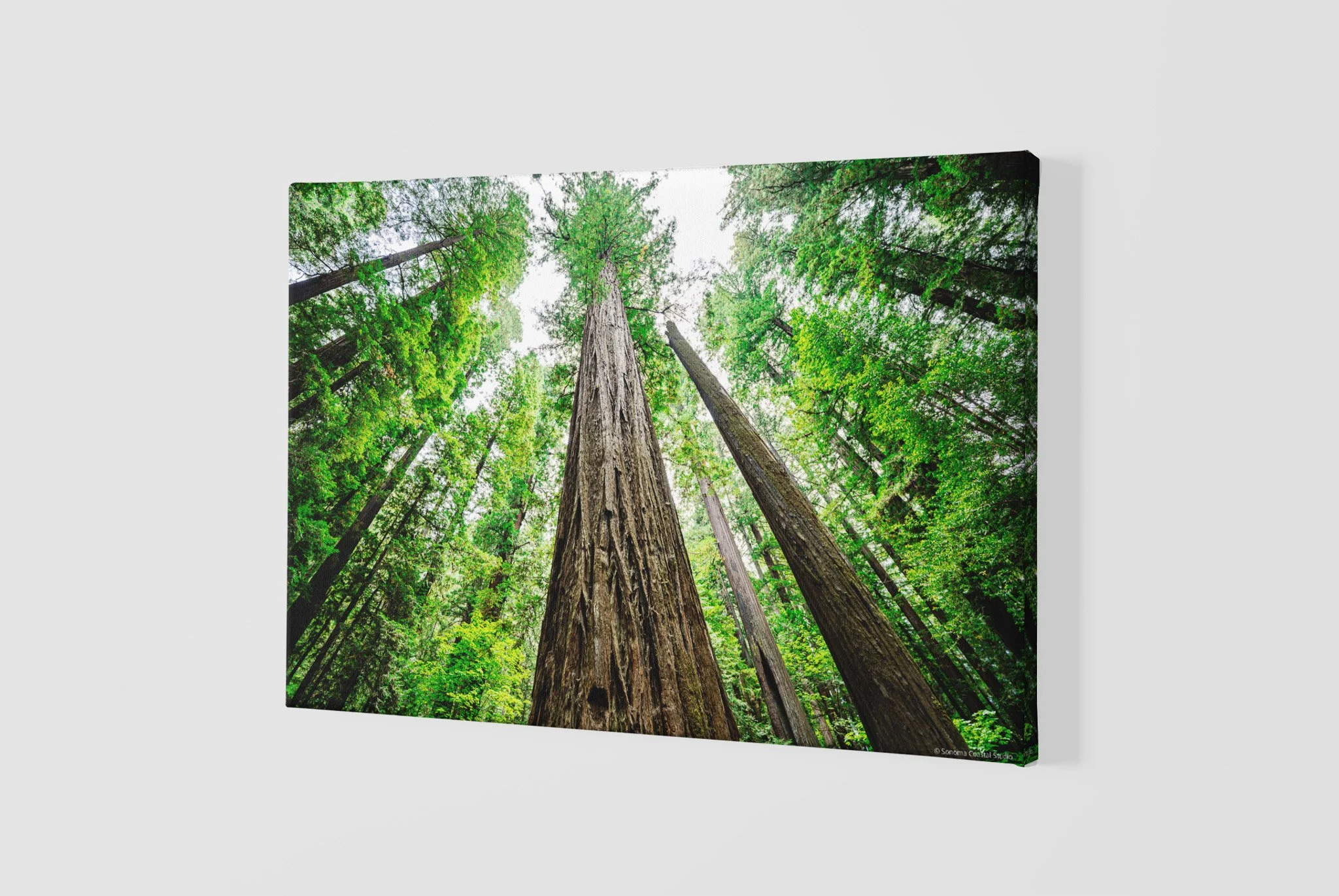 mockup-of-a-slightly-angled-canvas-2515-el1 - 2026-06-03T141013.375.jpg