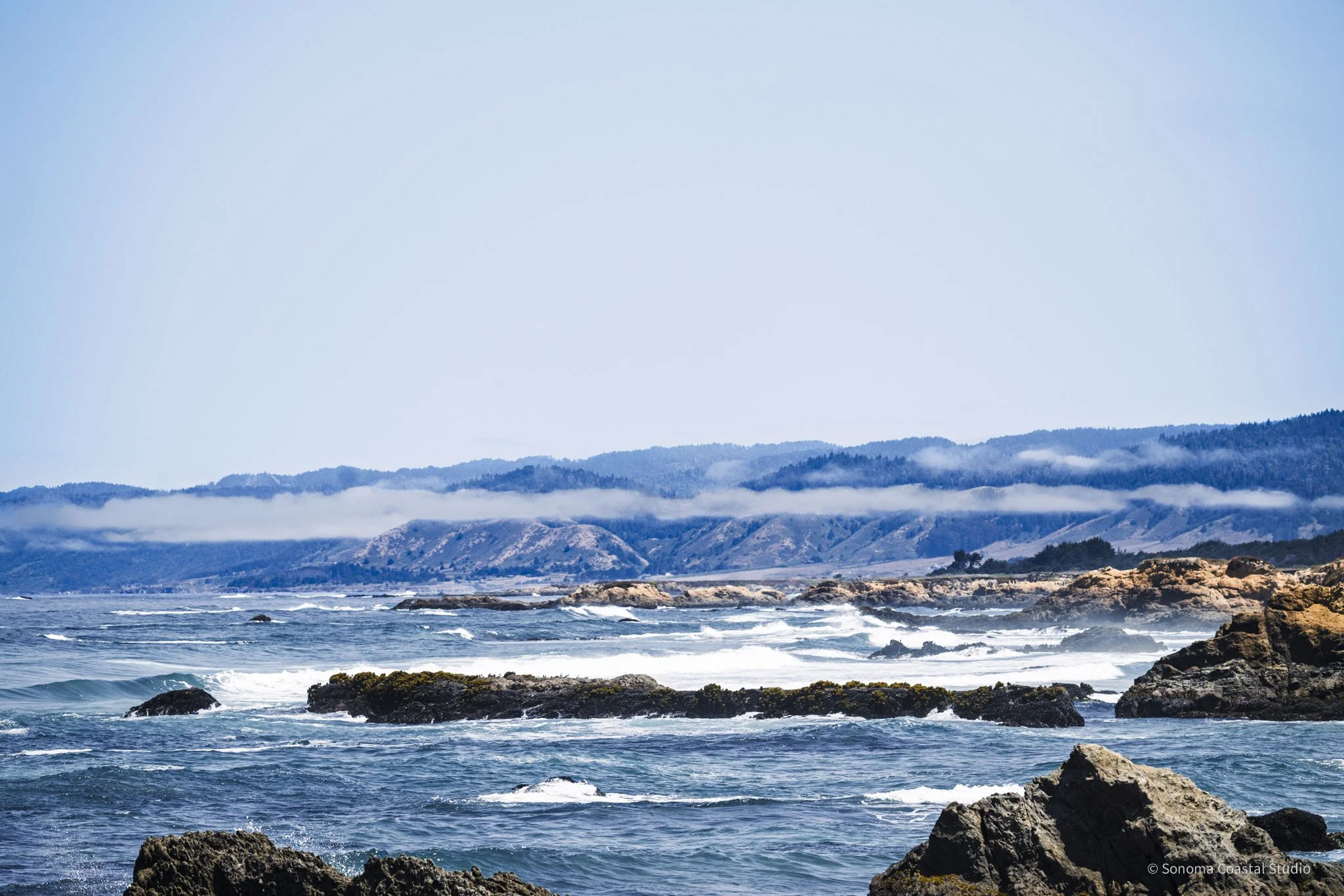 Coastal Pulse