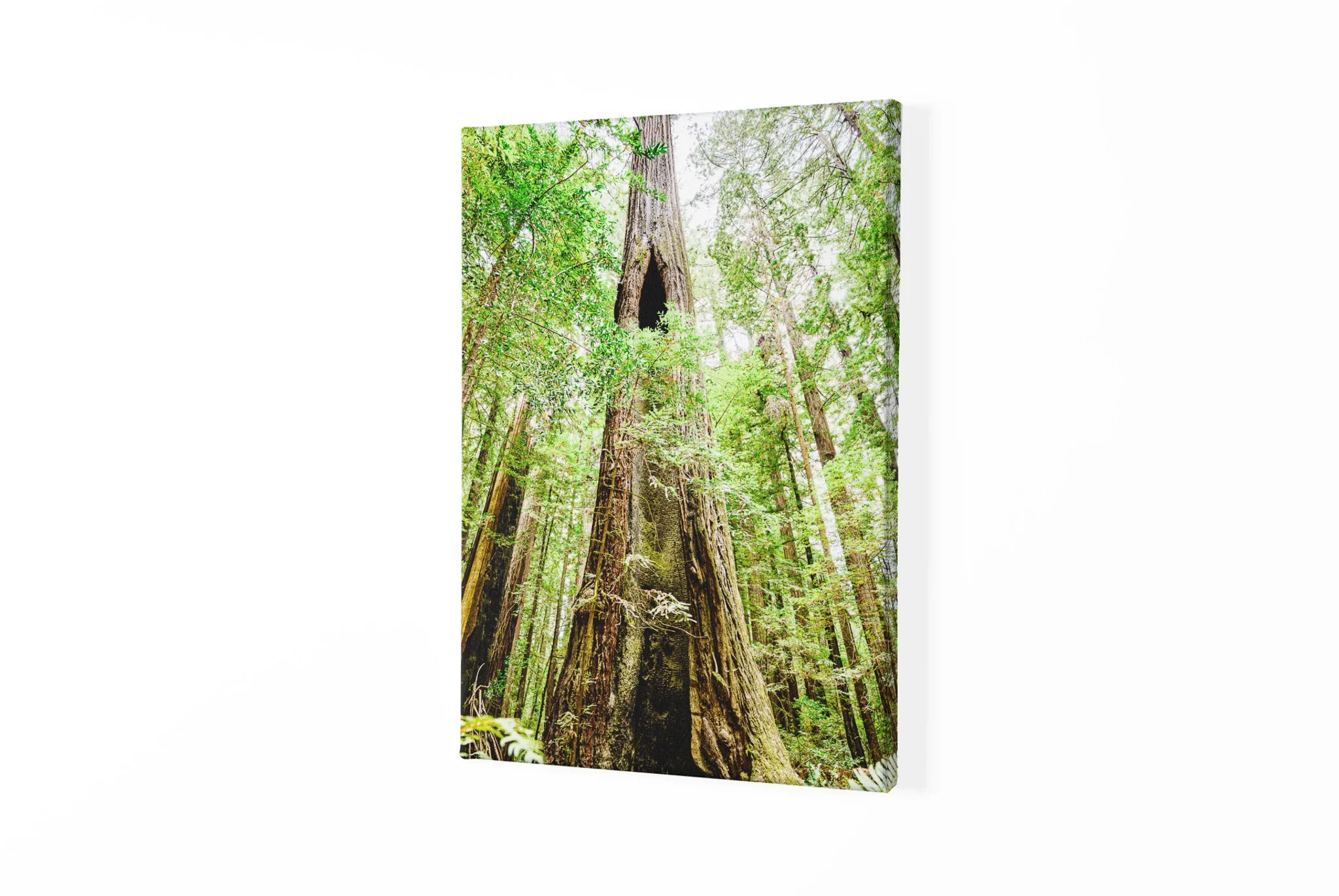 canvas-mockup-with-a-customizable-background-2513-el1 (2).jpg