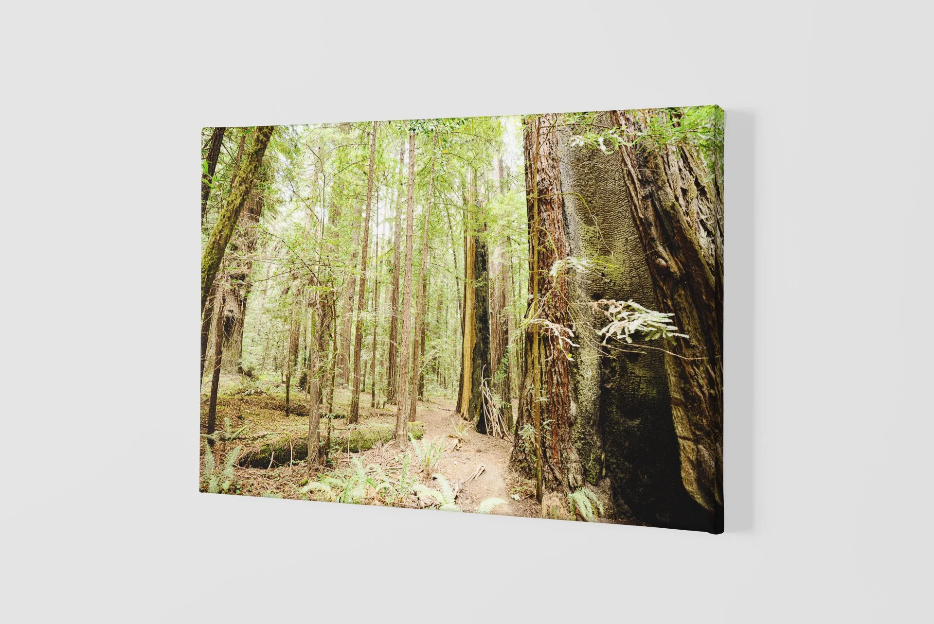 mockup-of-a-slightly-angled-canvas-2515-el1 (91).jpg