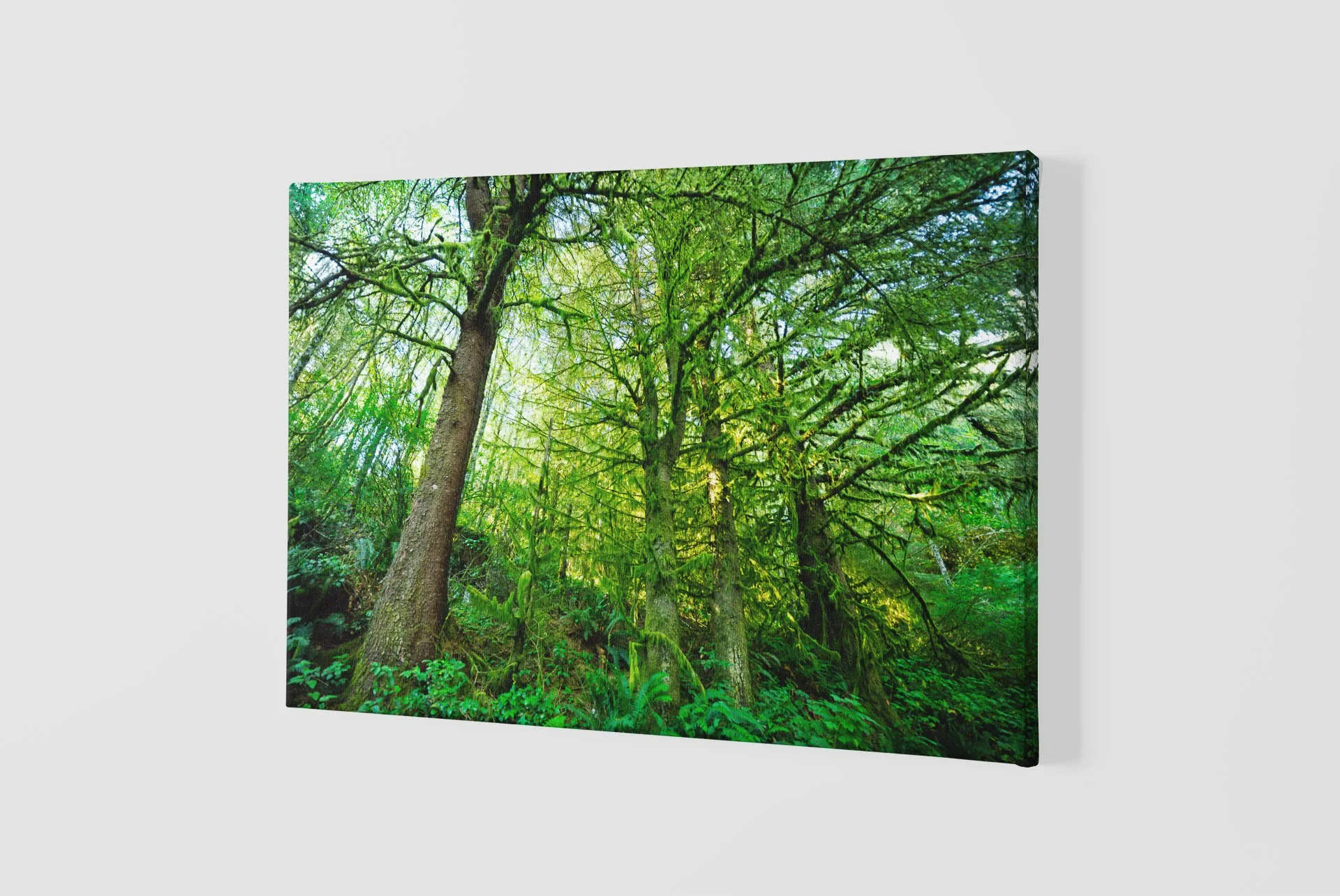 mockup-of-a-slightly-angled-canvas-2515-el1 (97).jpg