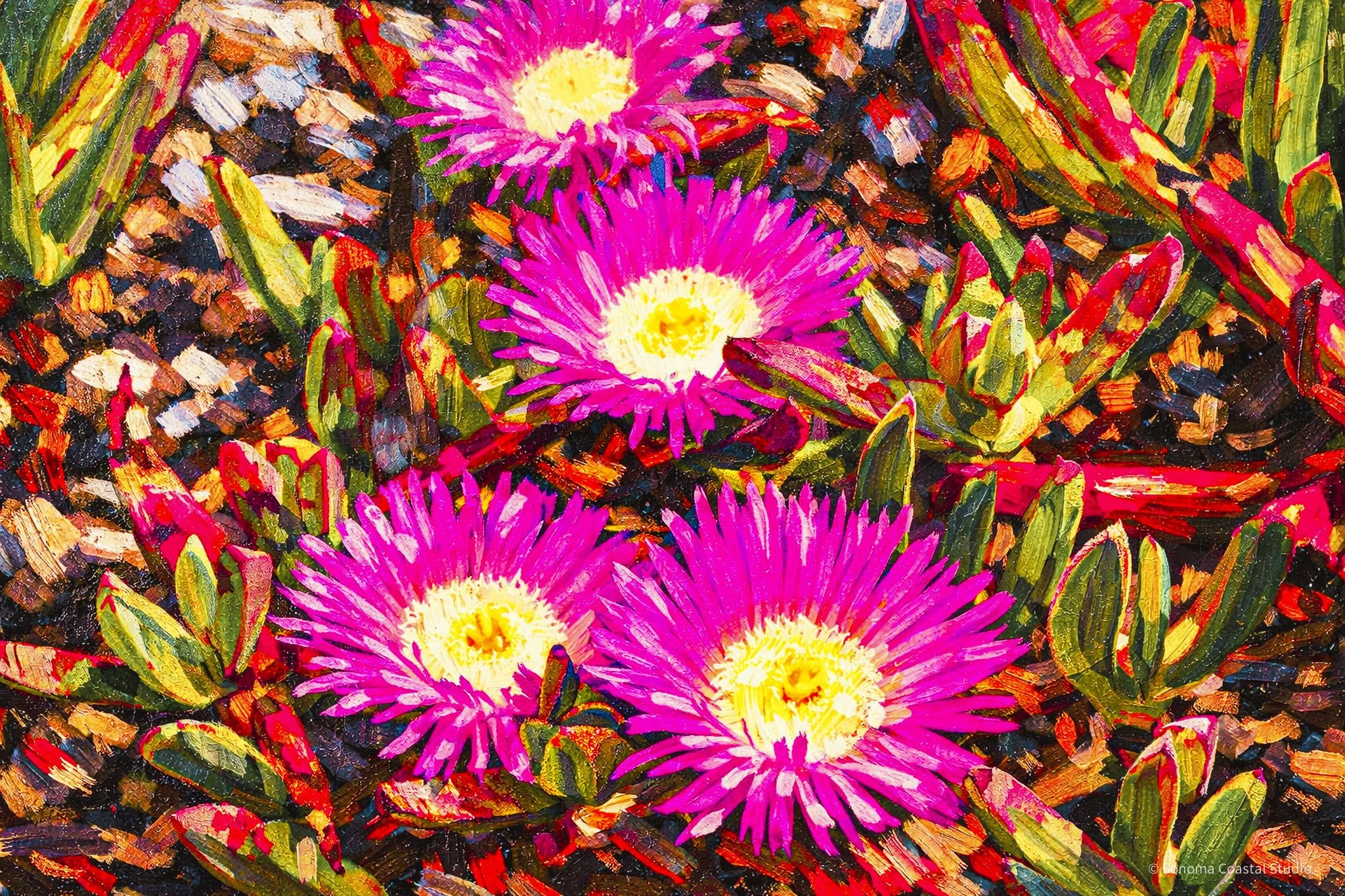 Where the Coast Blooms - Painterly Edition