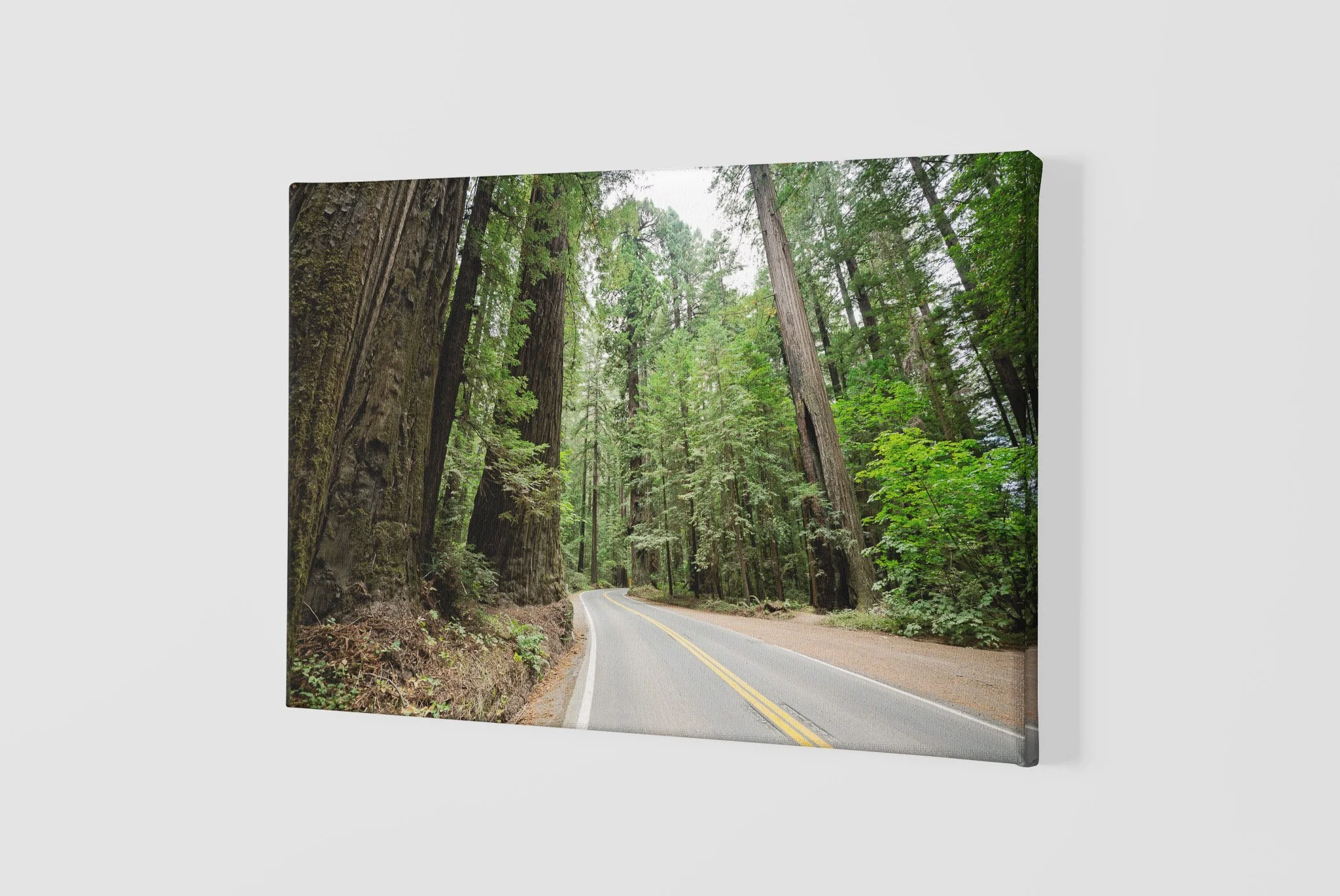 mockup-of-a-slightly-angled-canvas-2515-el1 (27).jpg