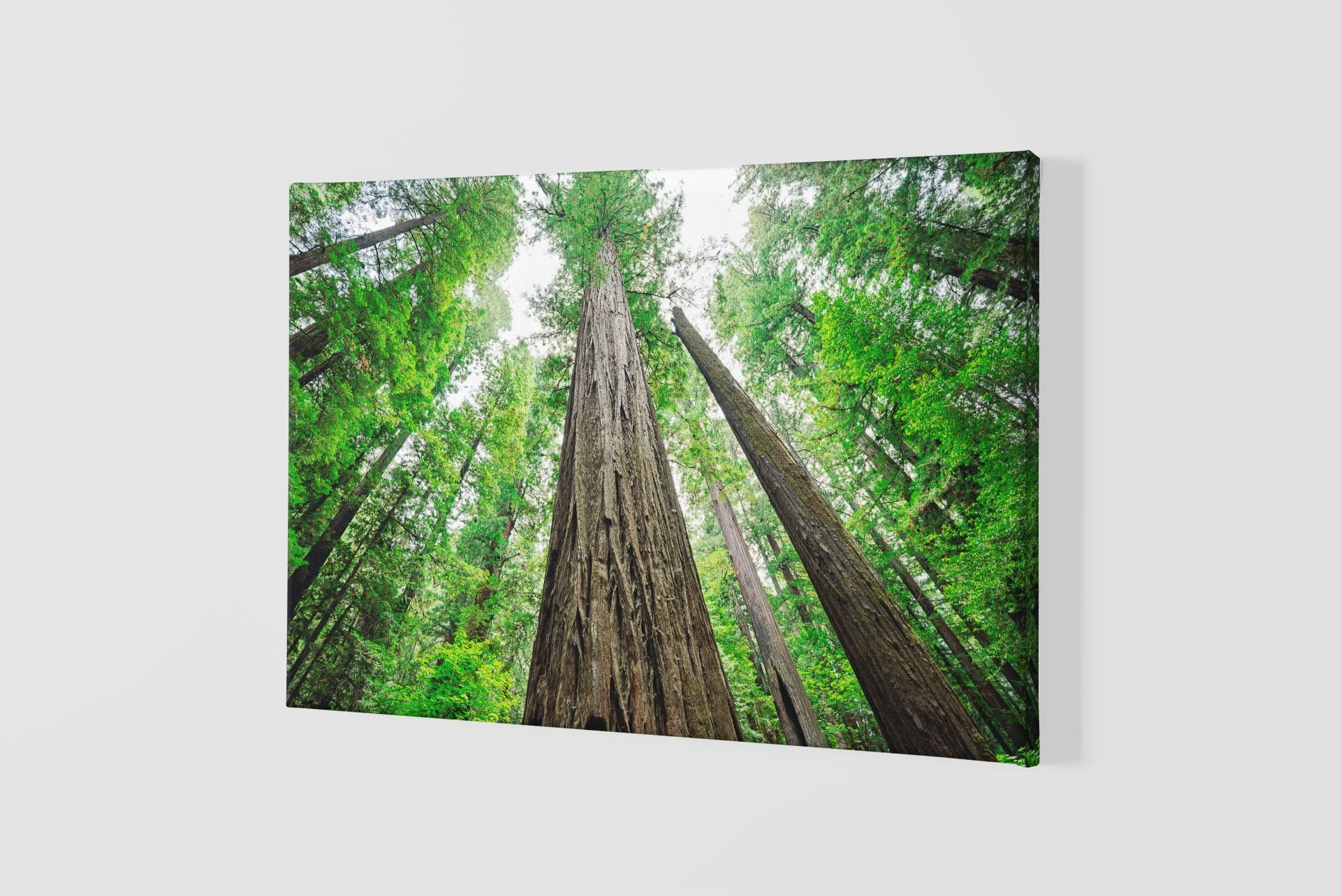 mockup-of-a-slightly-angled-canvas-2515-el1 (76).jpg