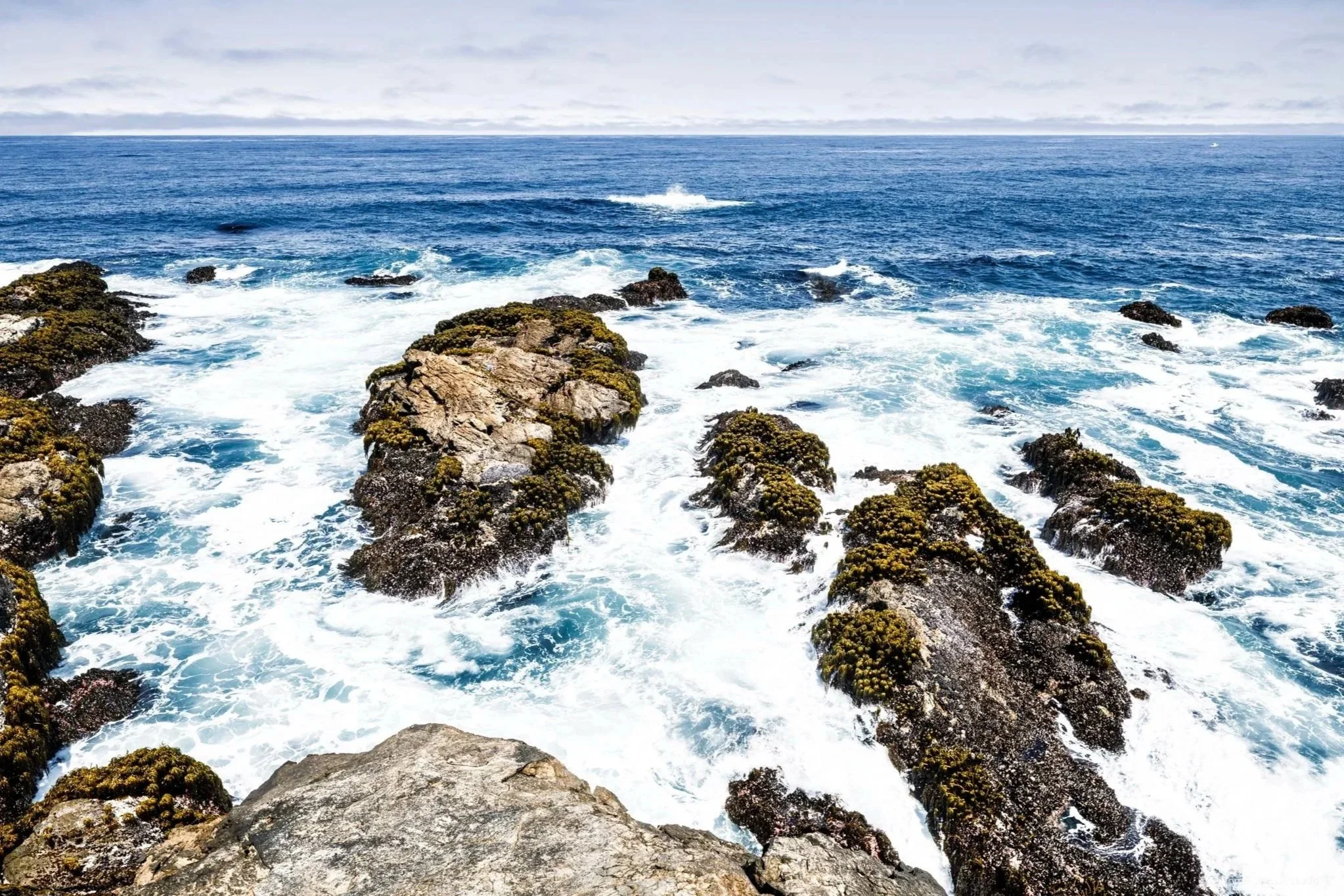 Pacific%2BSurge%2B%25E2%2580%2593%2BMendocino-1.jpg