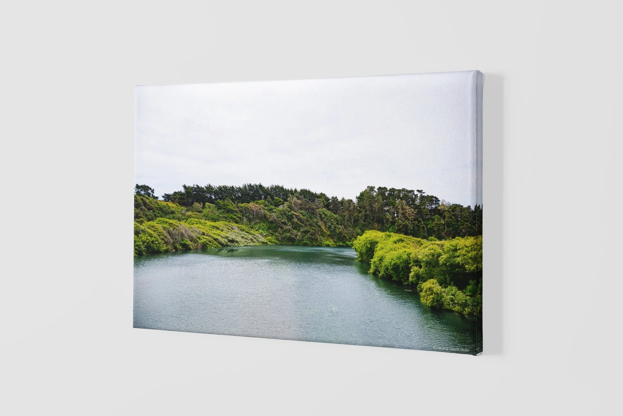 mockup-of-a-slightly-angled-canvas-2515-el1 - 2026-05-26T124905.440.jpg