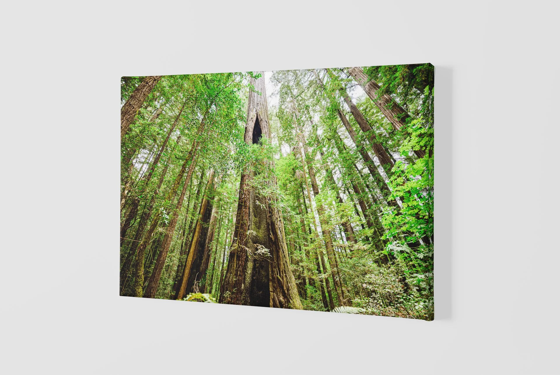 mockup-of-a-slightly-angled-canvas-2515-el1 (62).jpg