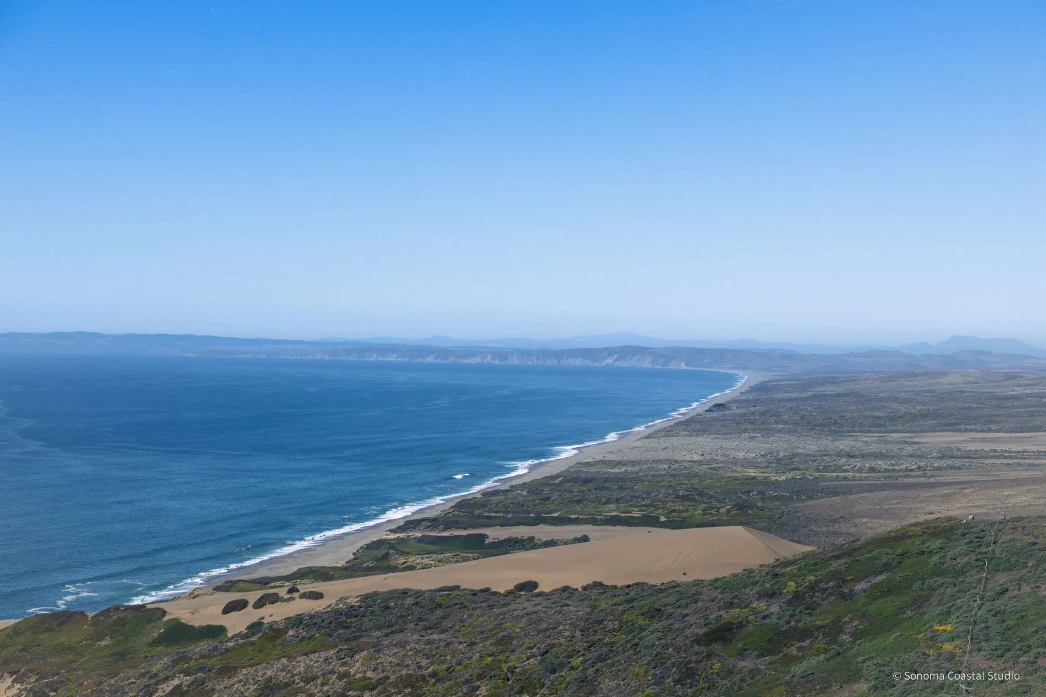 Dunes of Point Reyes