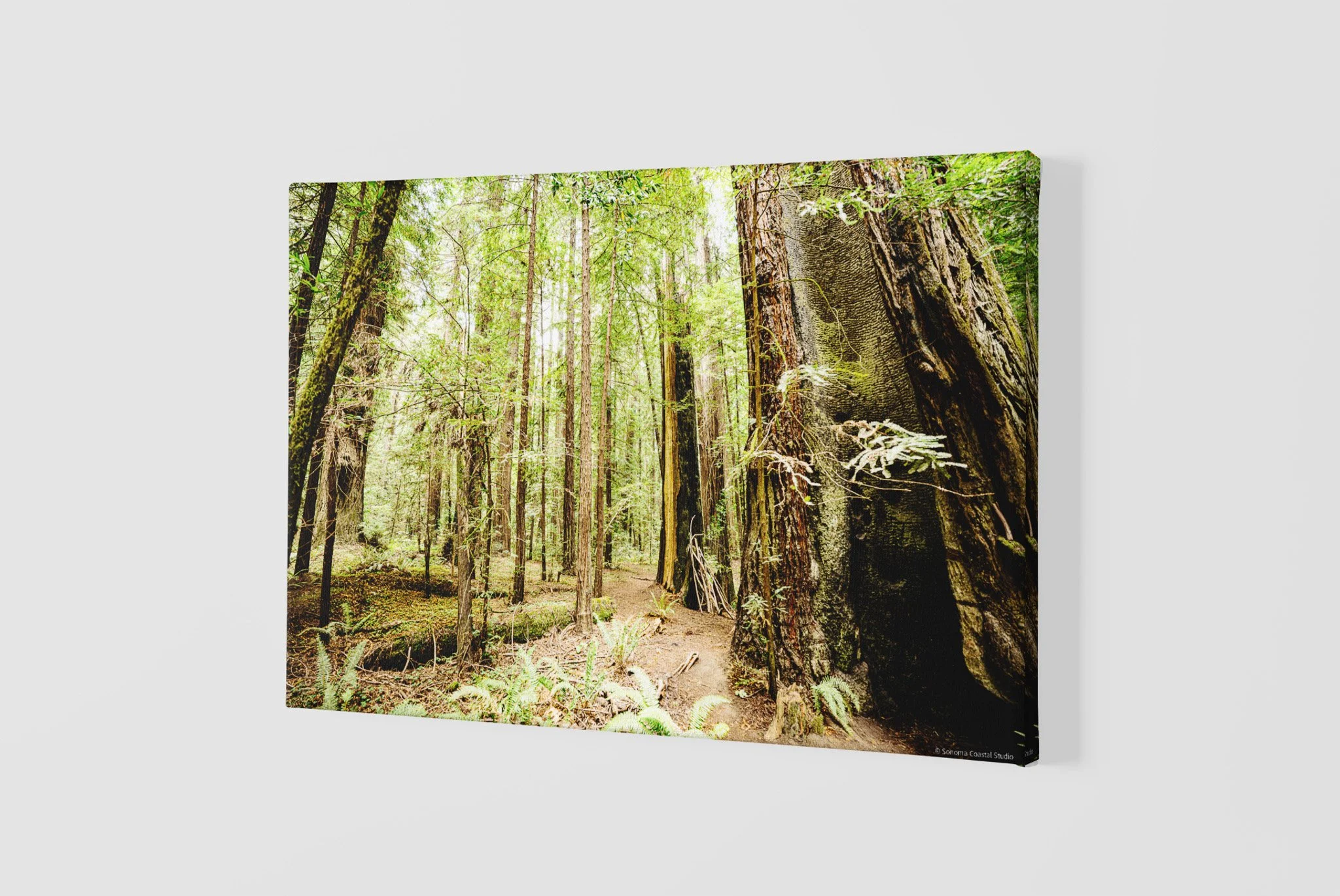 mockup-of-a-slightly-angled-canvas-2515-el1 - 2026-06-02T211935.858.jpg
