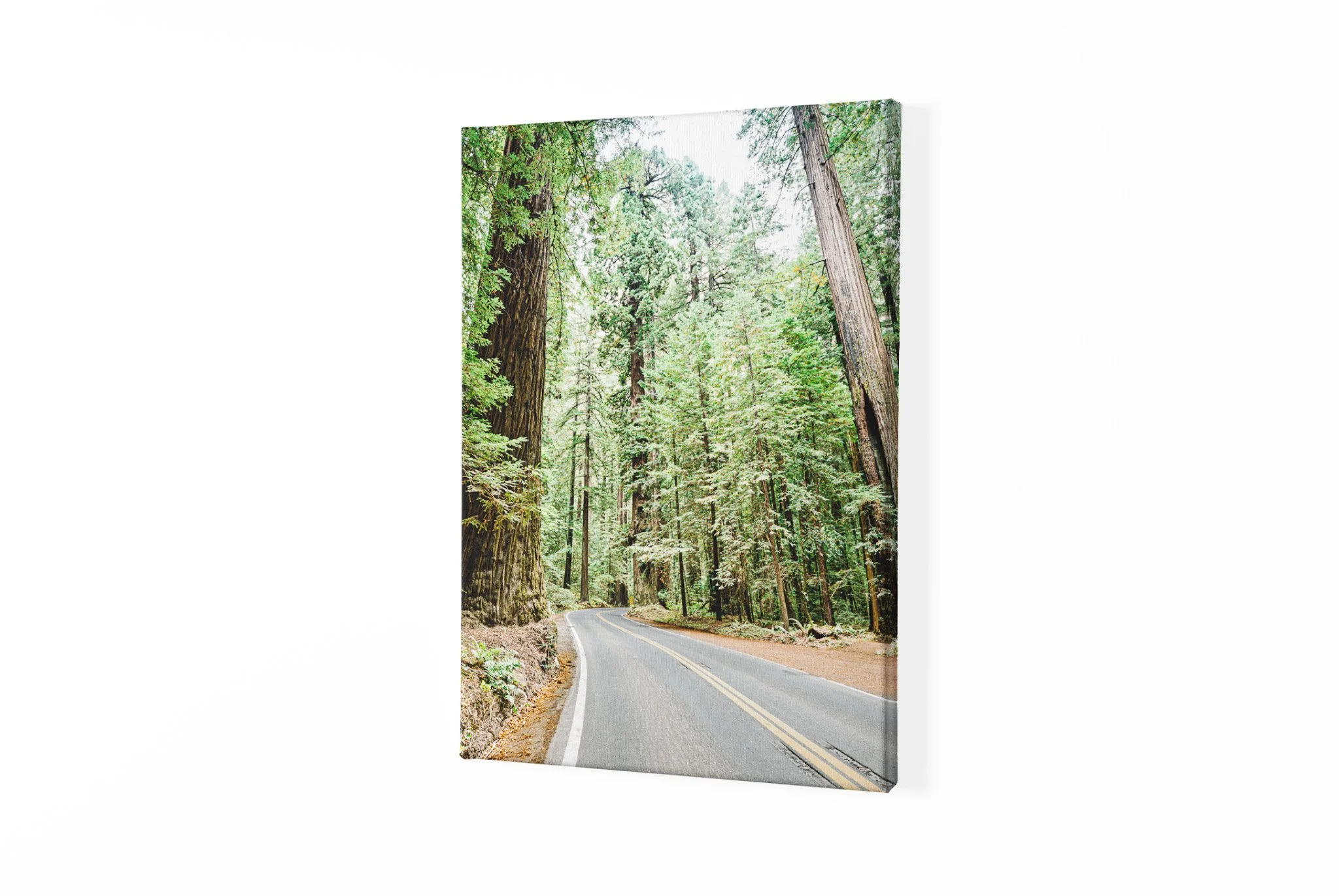 canvas-mockup-with-a-customizable-background-2513-el1 (11).jpg