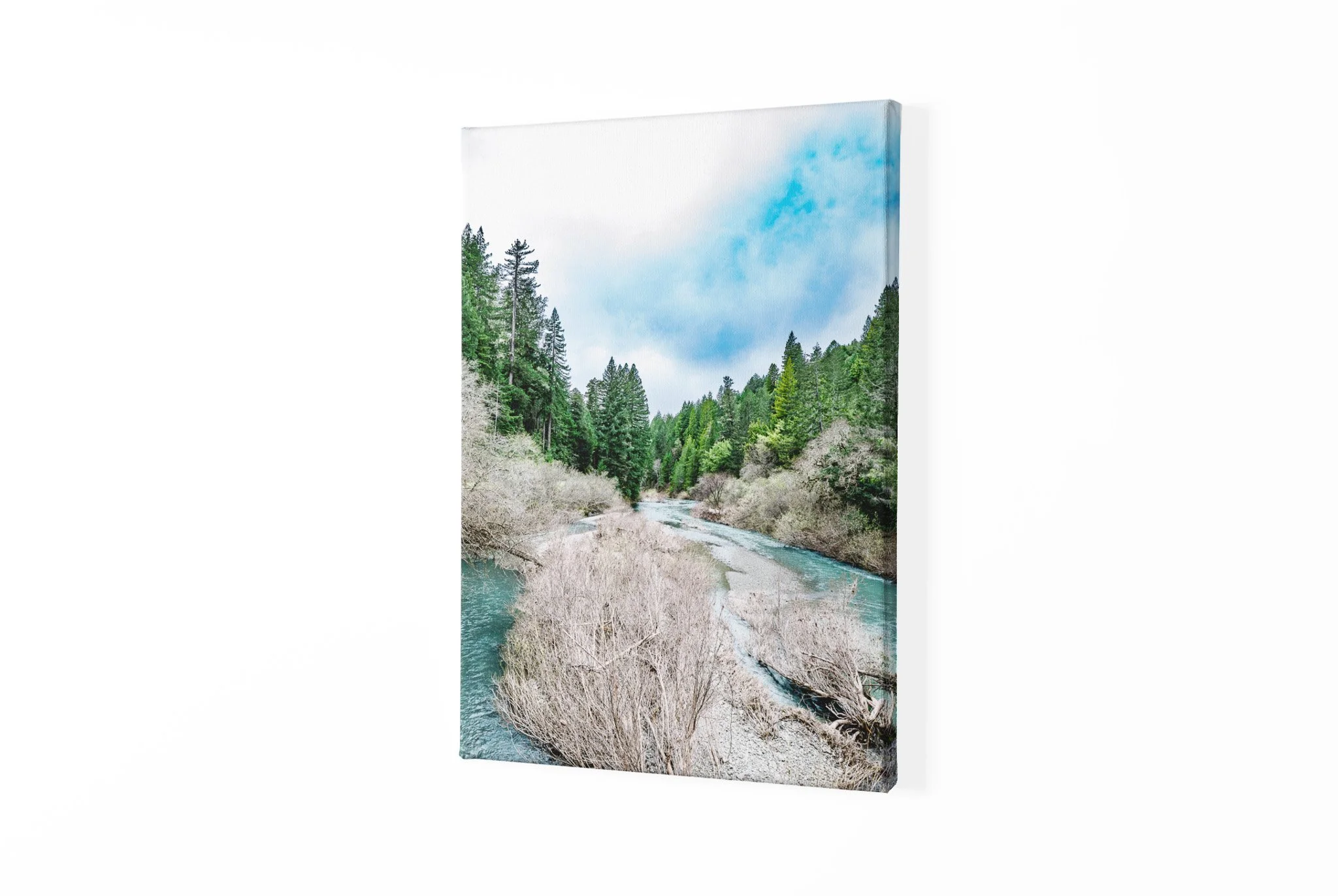 canvas-mockup-with-a-customizable-background-2513-el1 (13).jpg