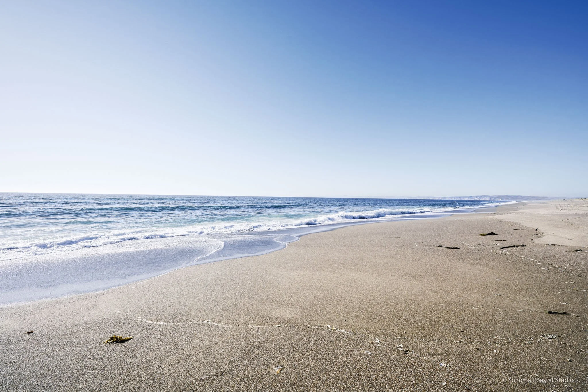 Quiet Shoreline