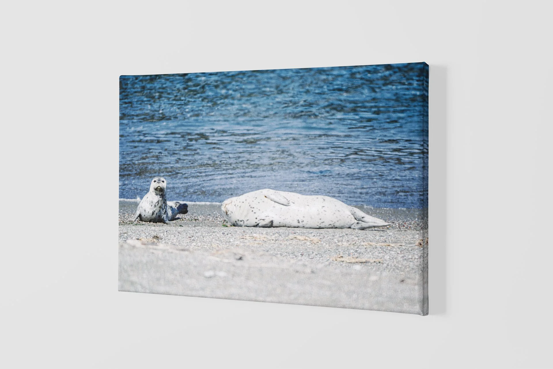 mockup-of-a-slightly-angled-canvas-2515-el1 (98).jpg