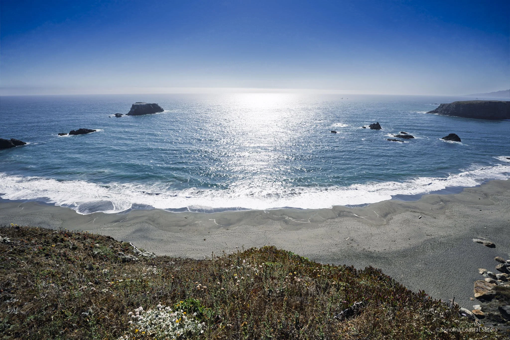 Pacific Horizon