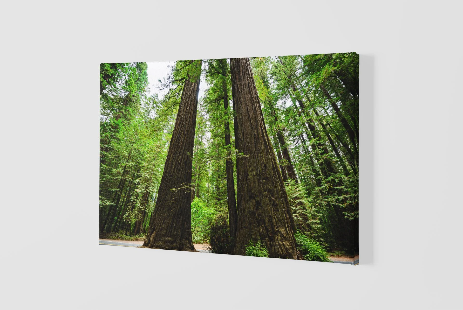 mockup-of-a-slightly-angled-canvas-2515-el1 (81).jpg