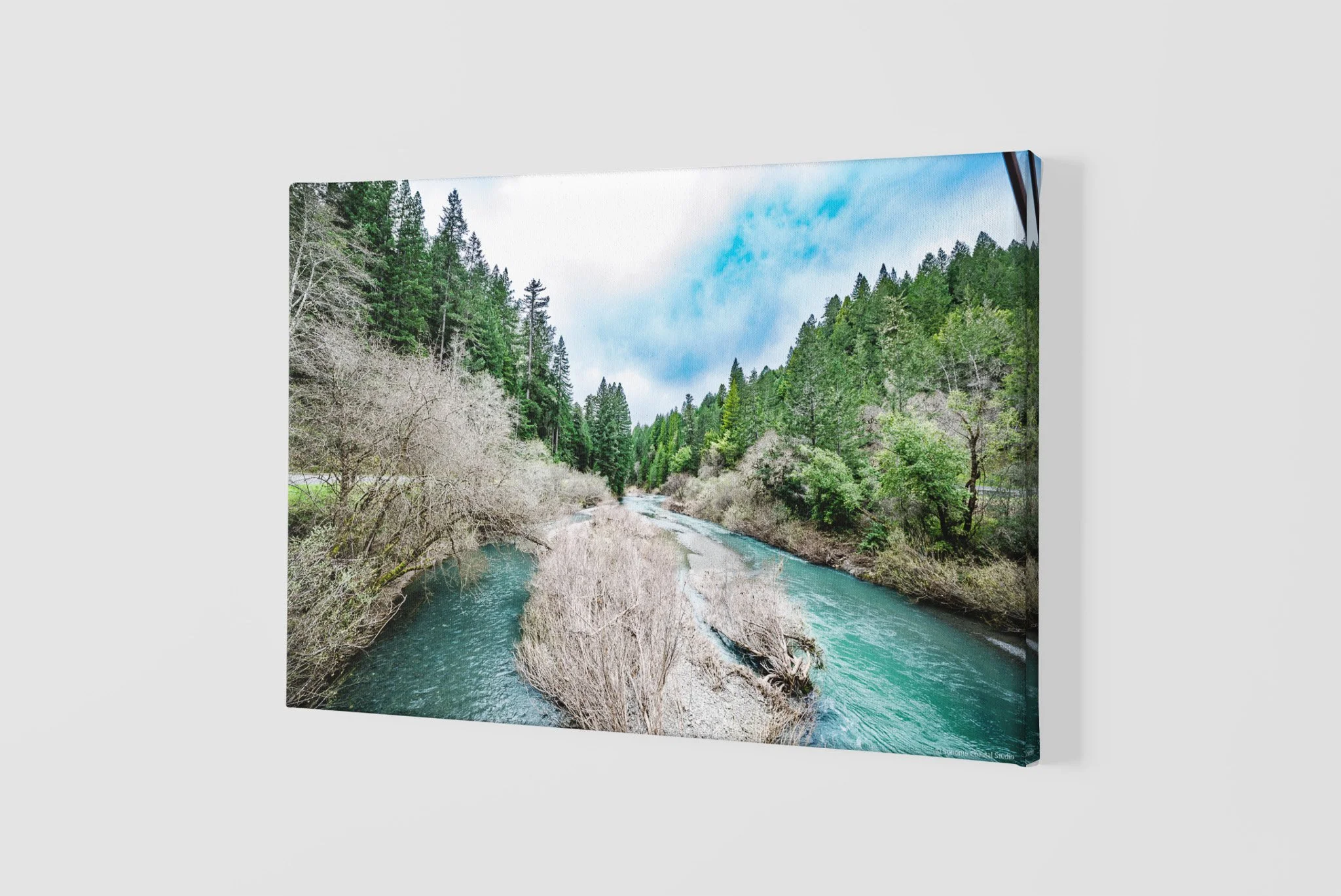 mockup-of-a-slightly-angled-canvas-2515-el1 - 2026-06-01T135737.480.jpg