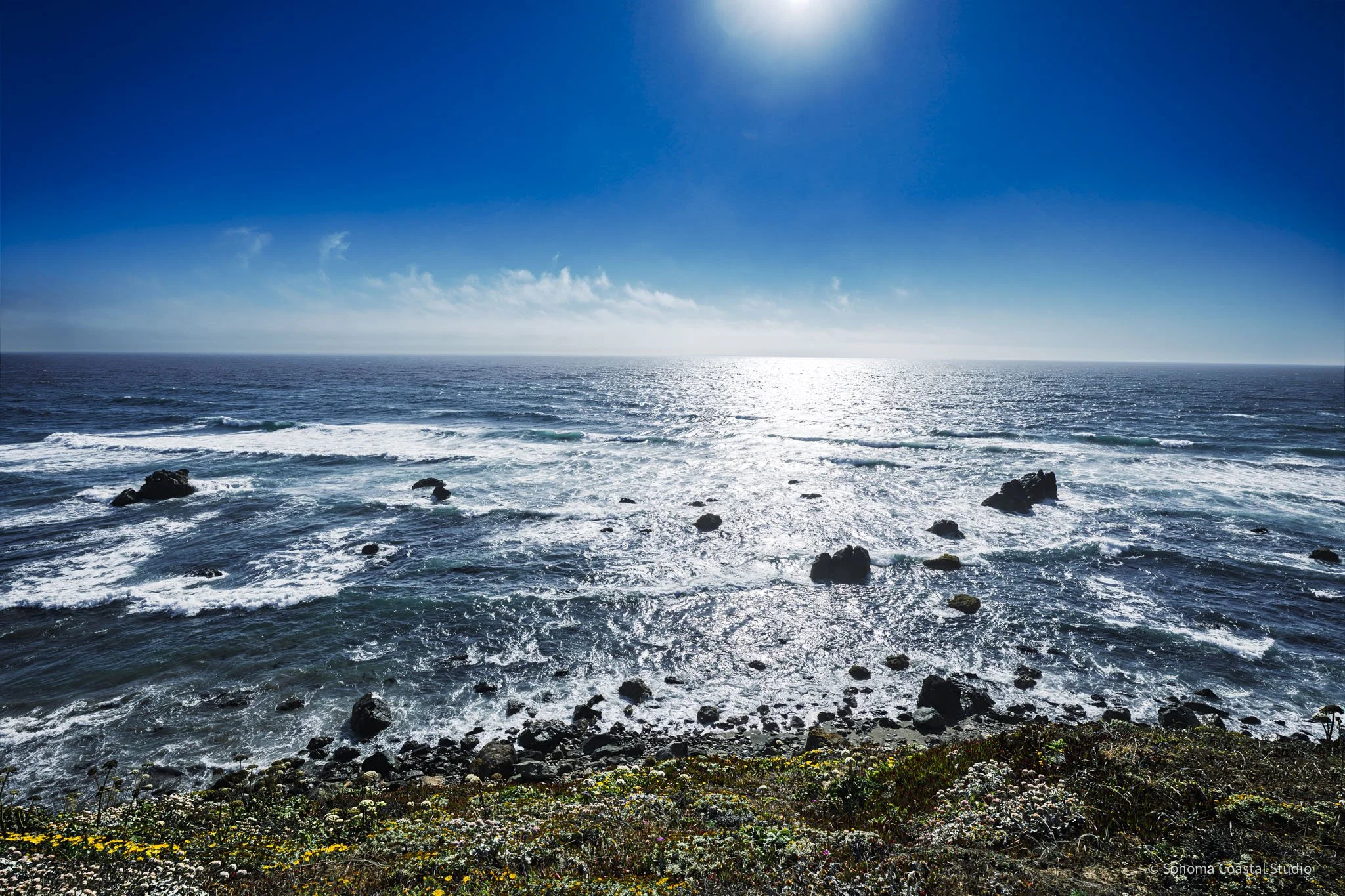 Where the Wild Light Falls-1.jpg