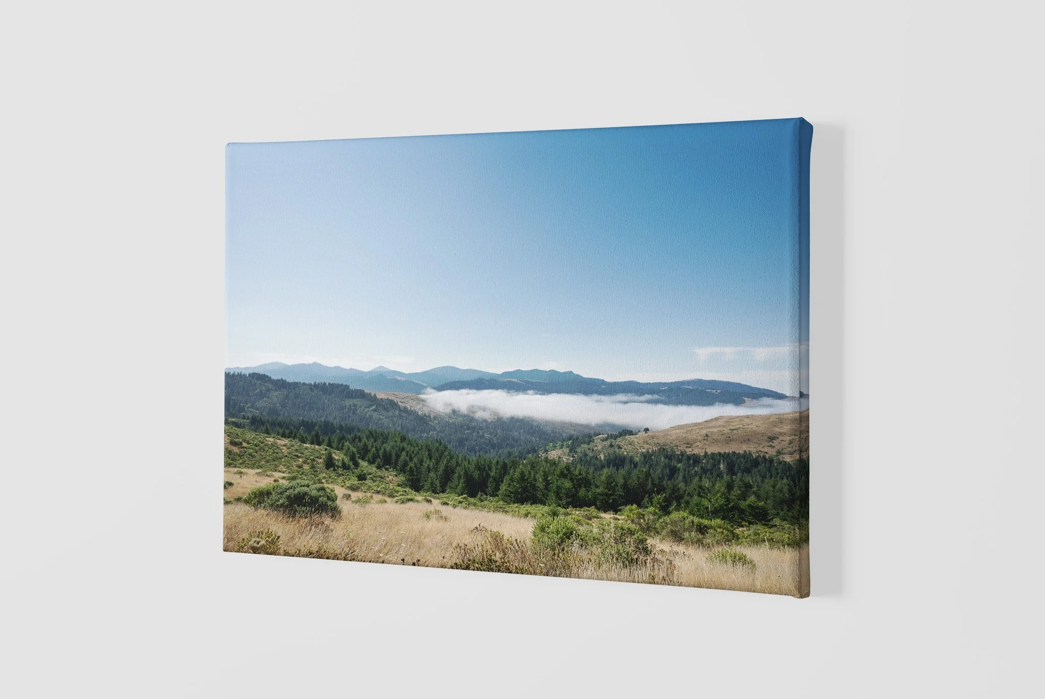 mockup-of-a-slightly-angled-canvas-2515-el1 (30).jpg